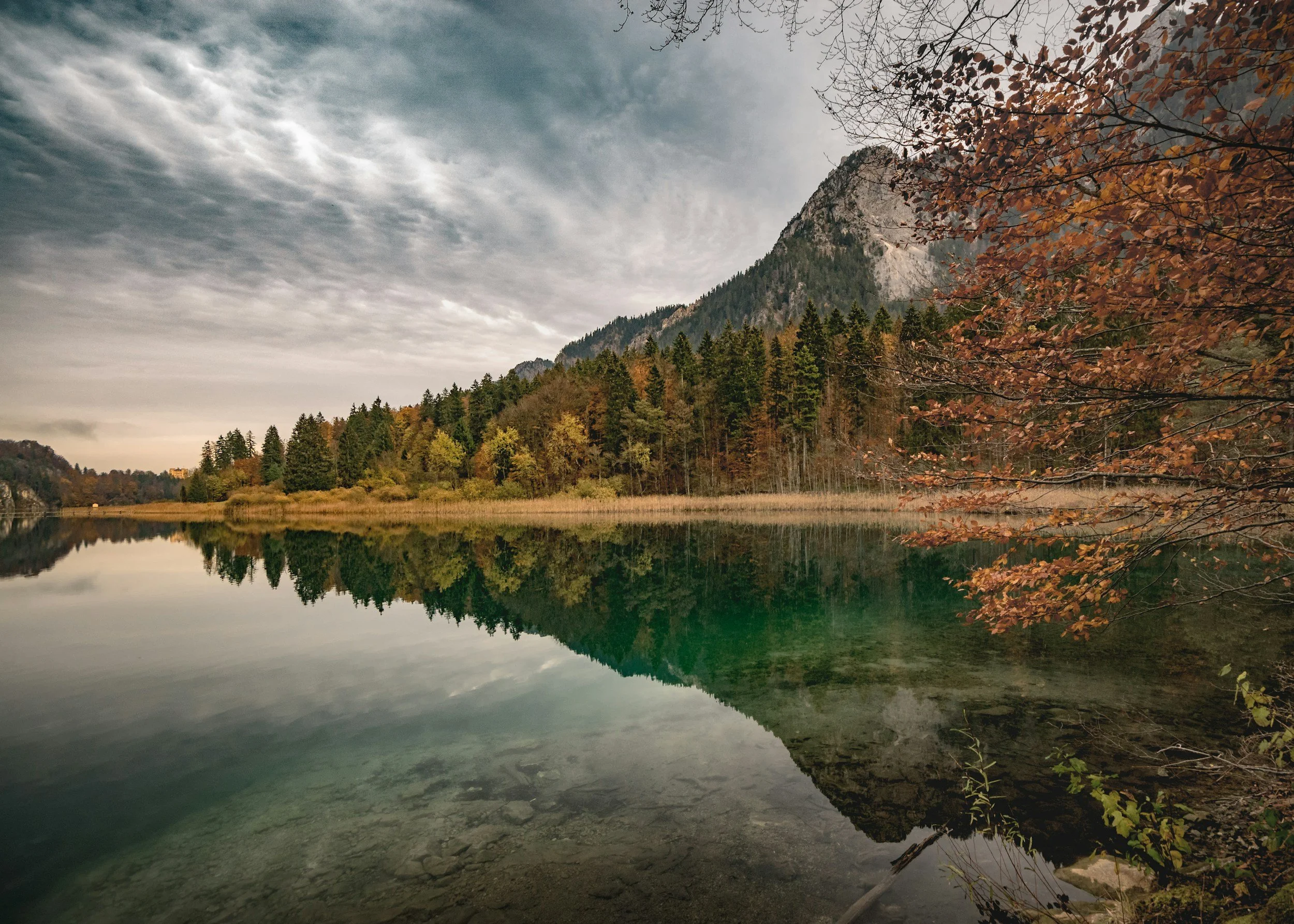 A calm lake reflecting tall pine trees and a mountainous landscape with cloudy skies, framed by orange and brown autumn leaves in the foreground.