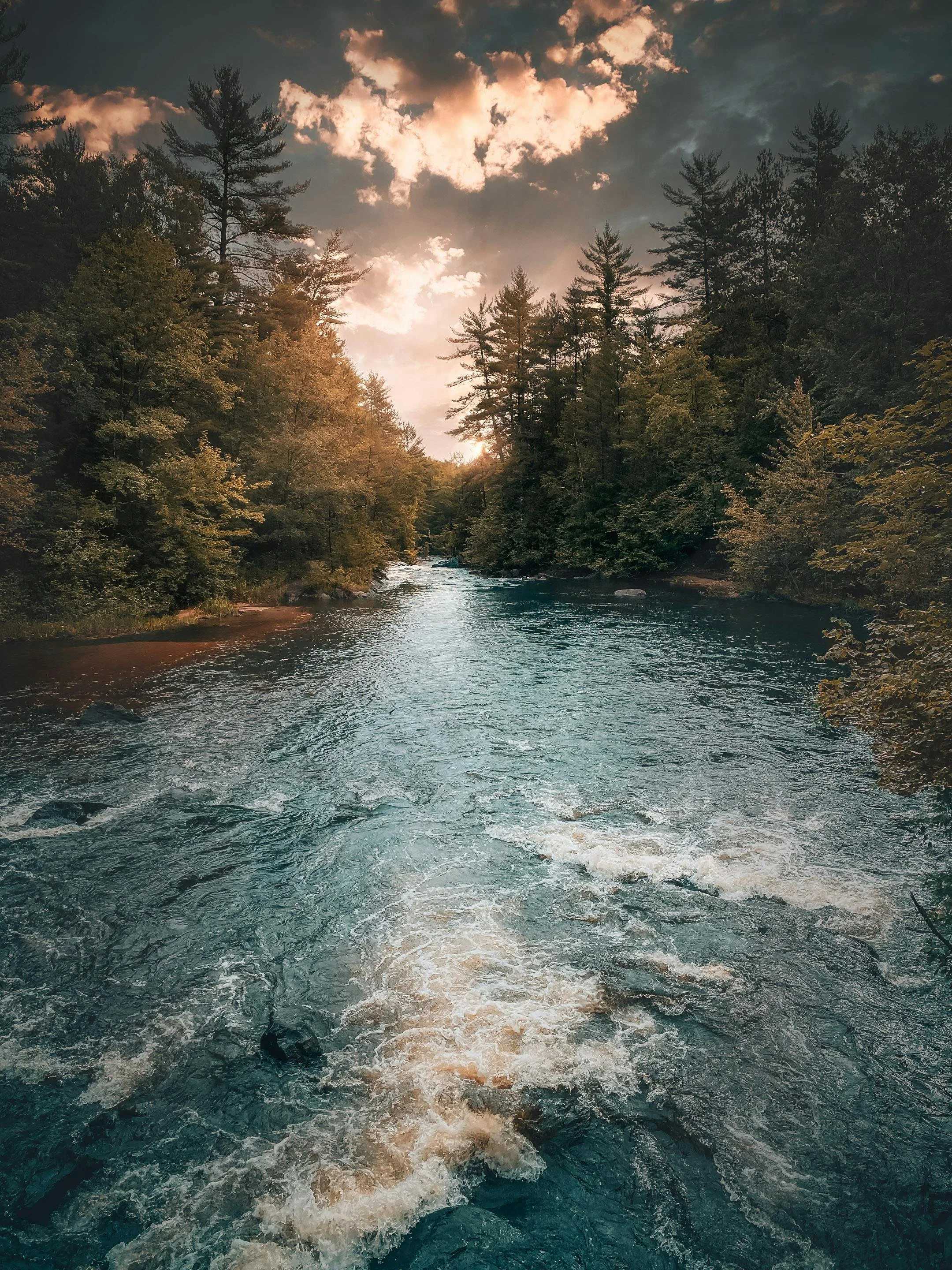 A river flowing through a forested area with dense trees on both sides, under a partly cloudy sky during sunset or sunrise.