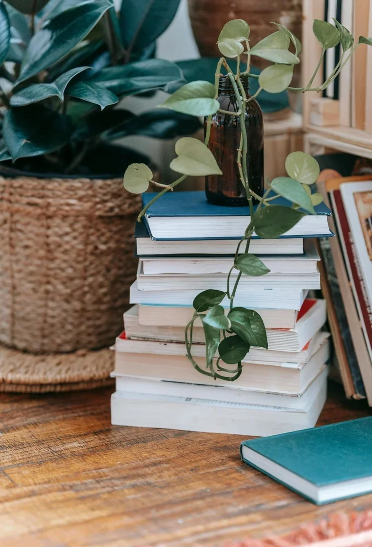 Stack of books on a wooden table with a small brown bottle holding a trailing green plant, a larger leafy plant in a woven basket, and more books in the background.