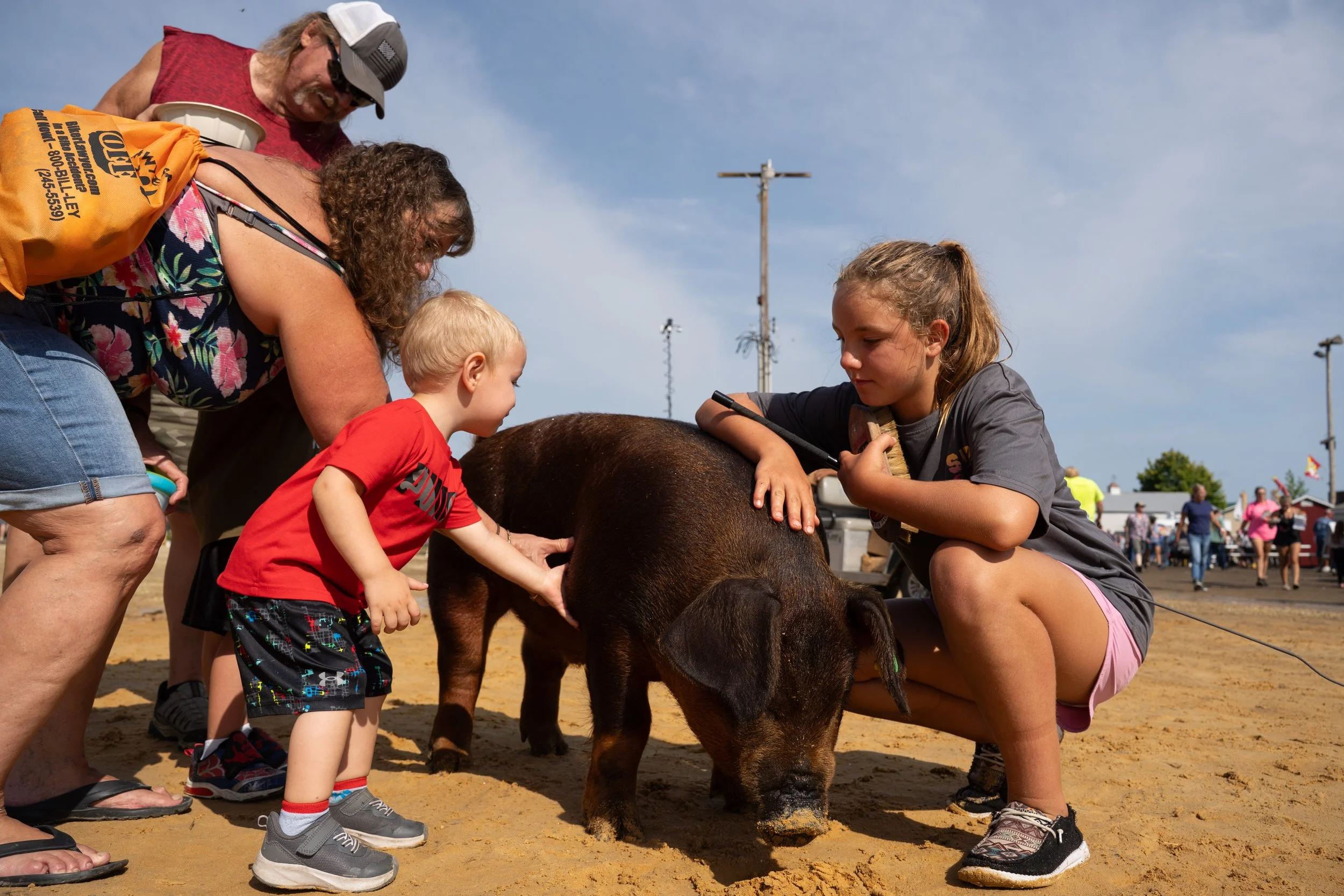 Stella Grove, 11, shows her pig, Ozzy, to Grayden Schwanz, 2, and his grandparents, Tammie Freeman Sime and John Sime at the Goodhue County Fair on Saturday, Aug. 9, 2025 in Zumbrota. Grove is showing Ozzy as part of 4-H. (Post Bulletin)
