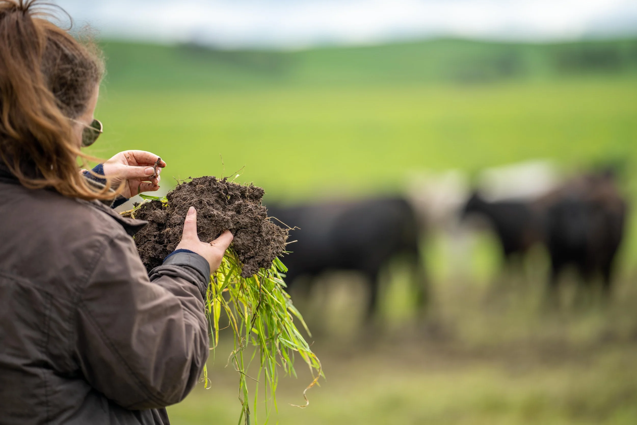 We are hiring: Regenerative Farming Marketing Expert - Full time