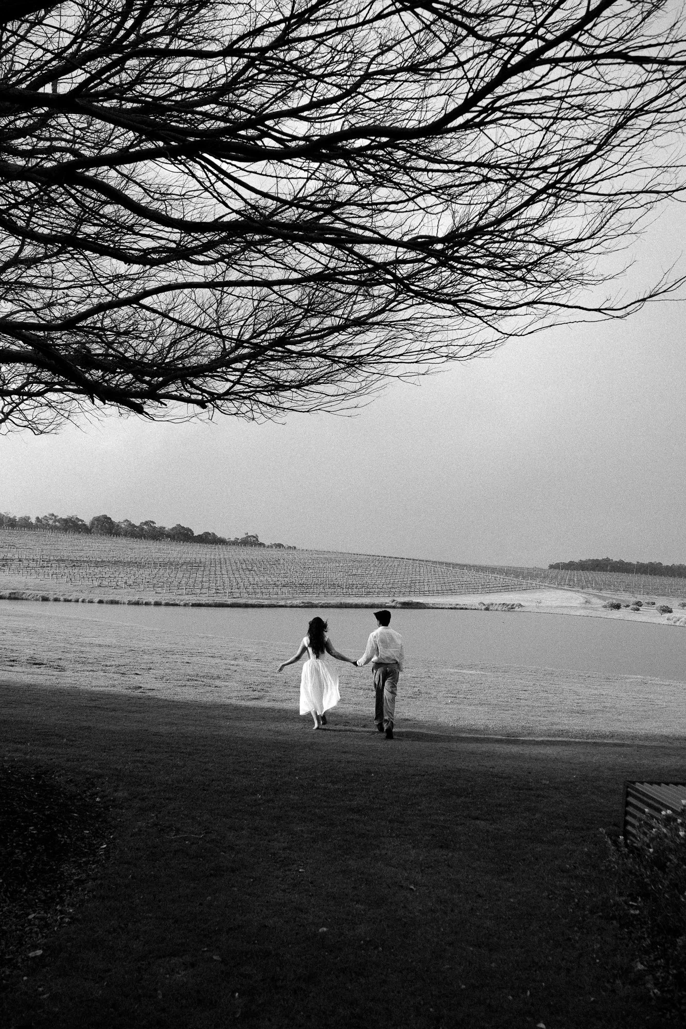 A black-and-white photo of a couple holding hands and walking along a beach or lake, with a large, leafless tree with sprawling branches and a vineyard in the background.