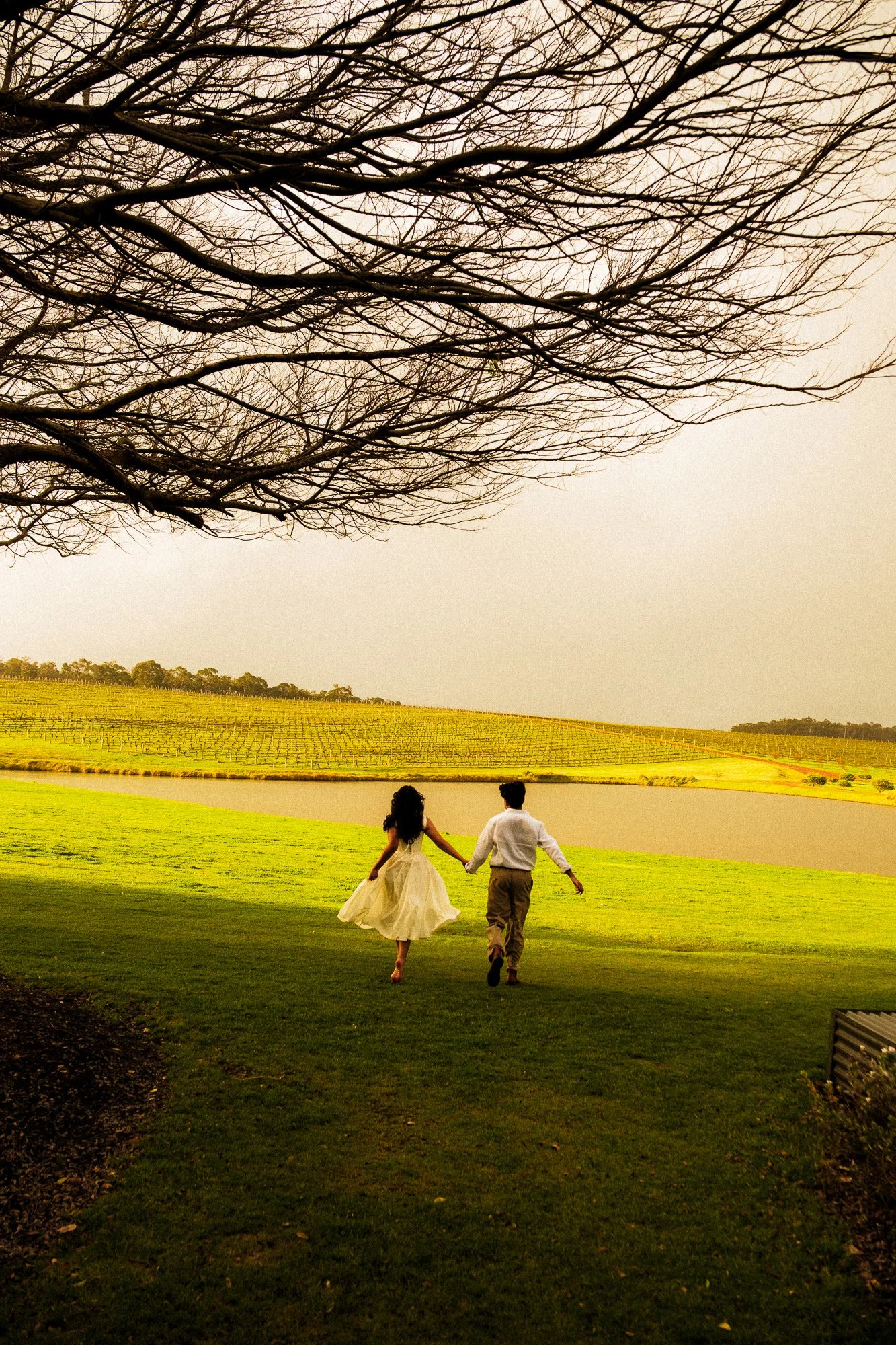 A couple holding hands and running on a grassy lawn near a body of water, with rolling hills in the background and a leafless tree in the foreground.