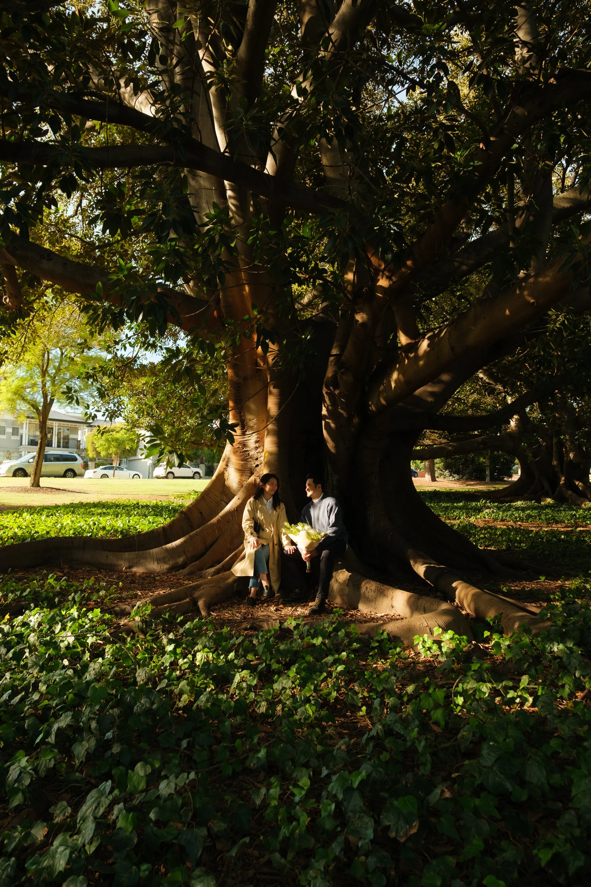 Two women sitting on the roots of a large tree in a park, engaged in conversation. The tree has thick, sprawling roots and a full canopy of leaves, with sunlight filtering through.