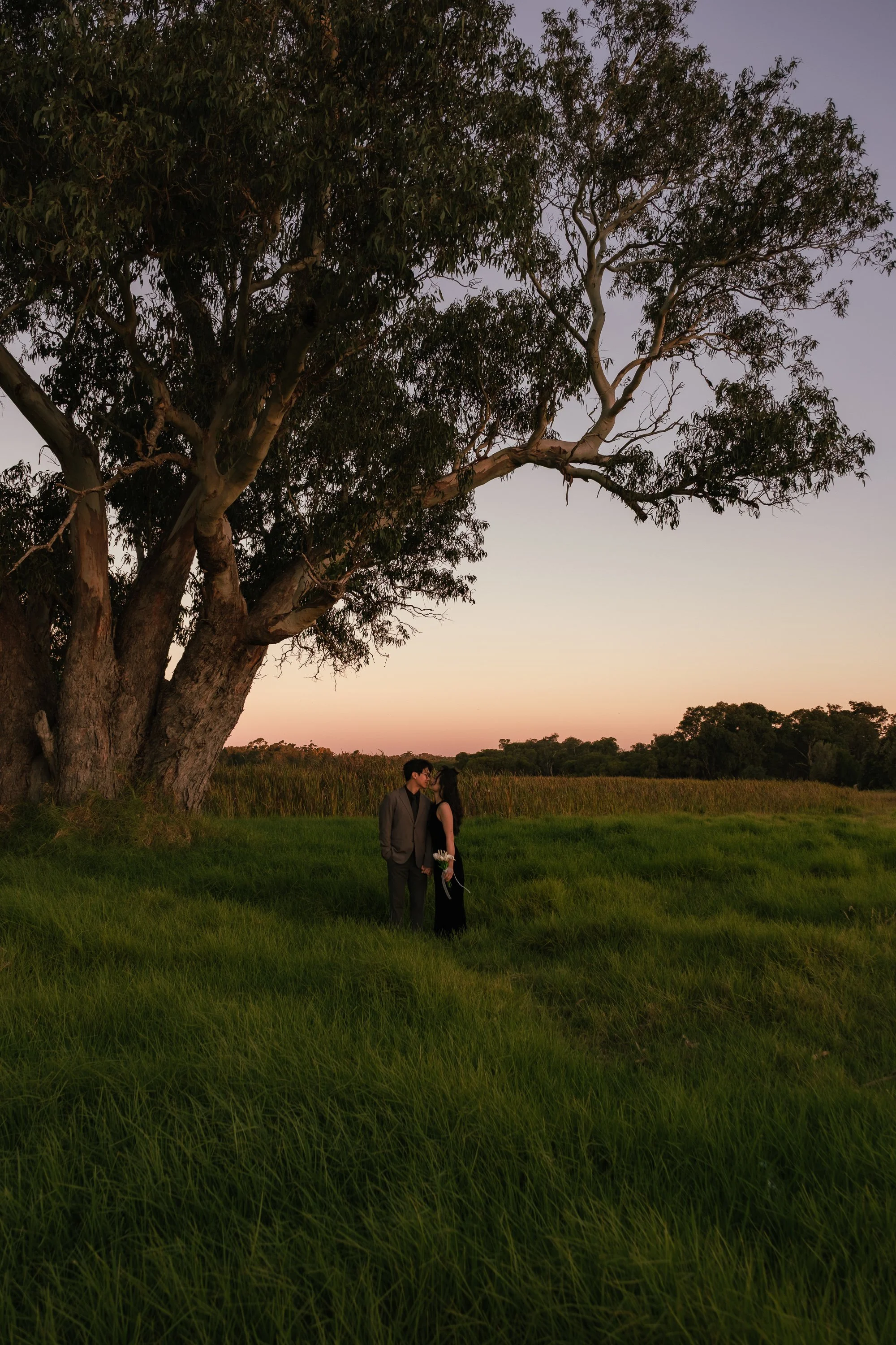 A couple dressed in formal attire standing under a large tree during sunset in a grassy field.