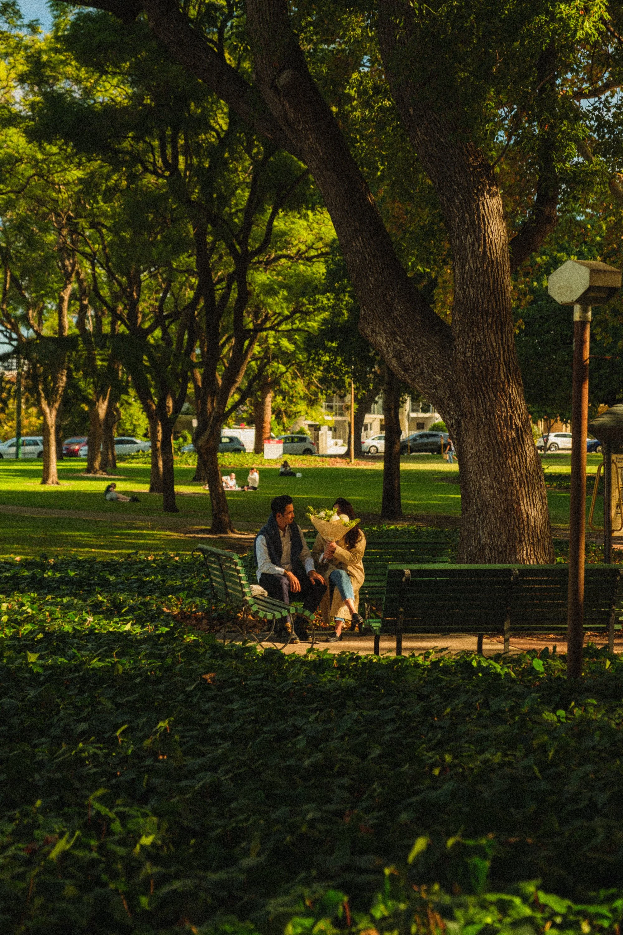 A park scene at night with people sitting on benches, large trees with green leaves, and a person holding a bouquet of flowers talking to a woman.