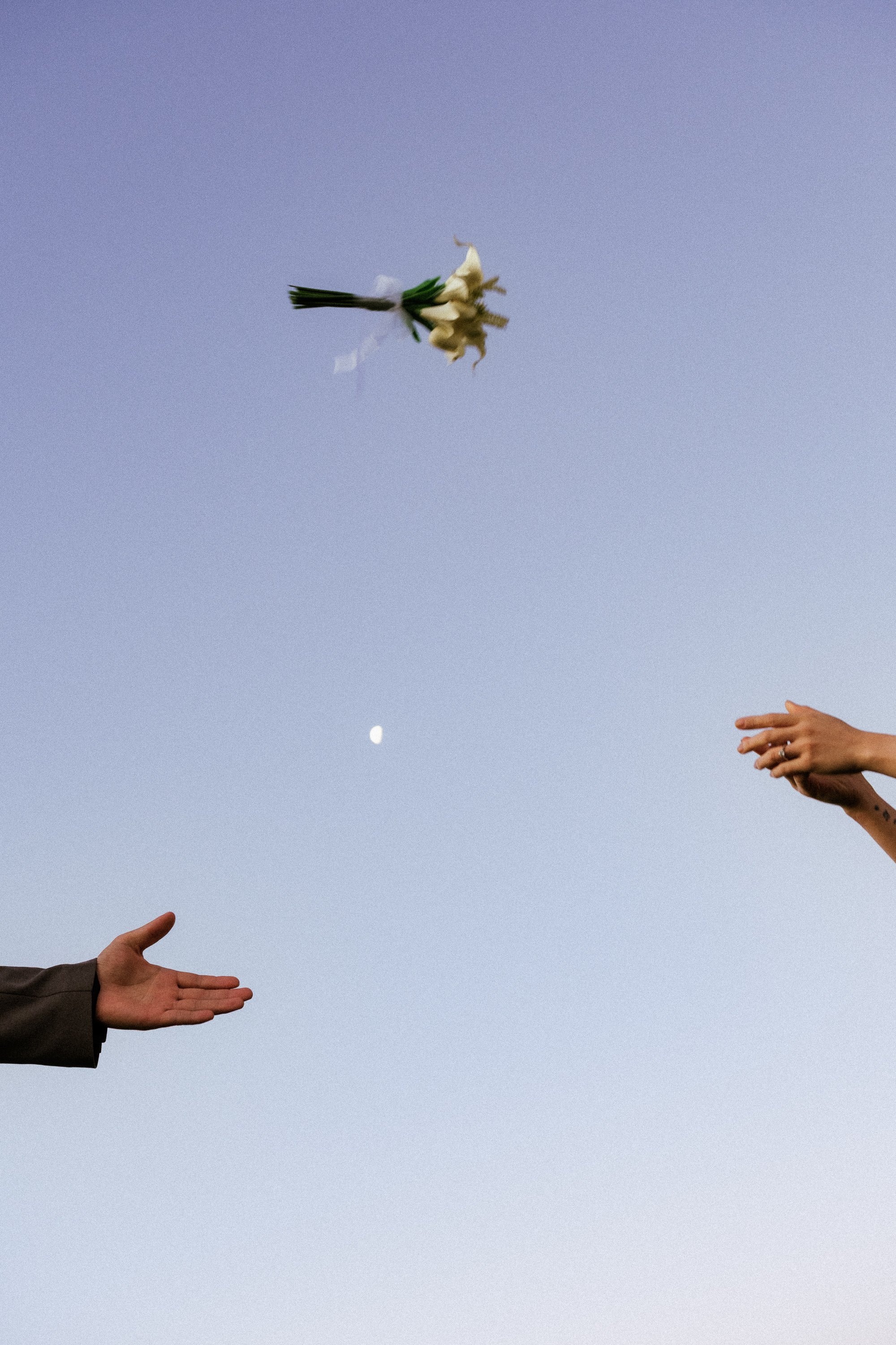 Two hands reaching out to catch or receive a white flower against a twilight sky with the moon visible.