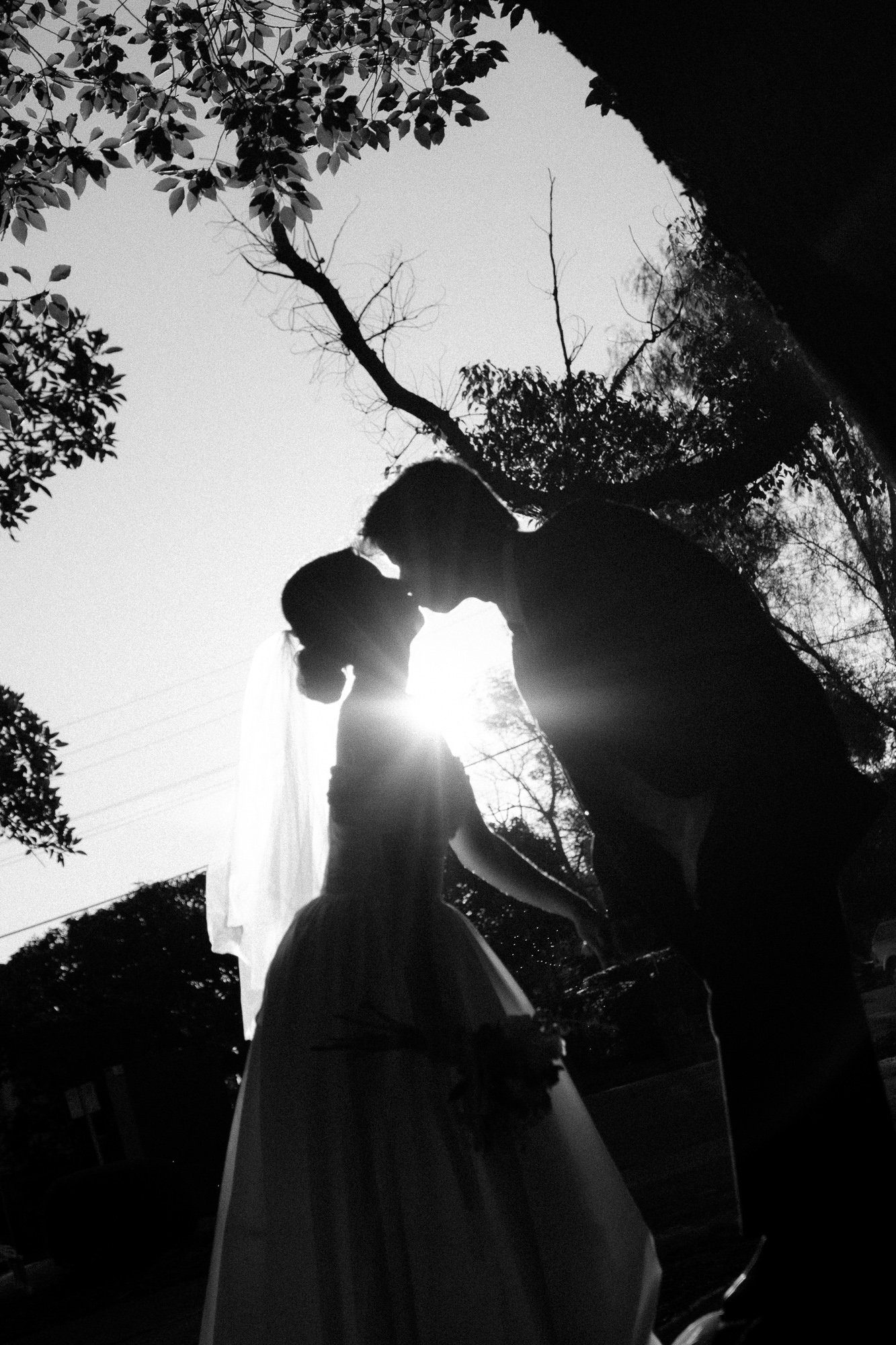 Silhouettes of a bride and groom kissing outdoors with trees and sunlight in the background.