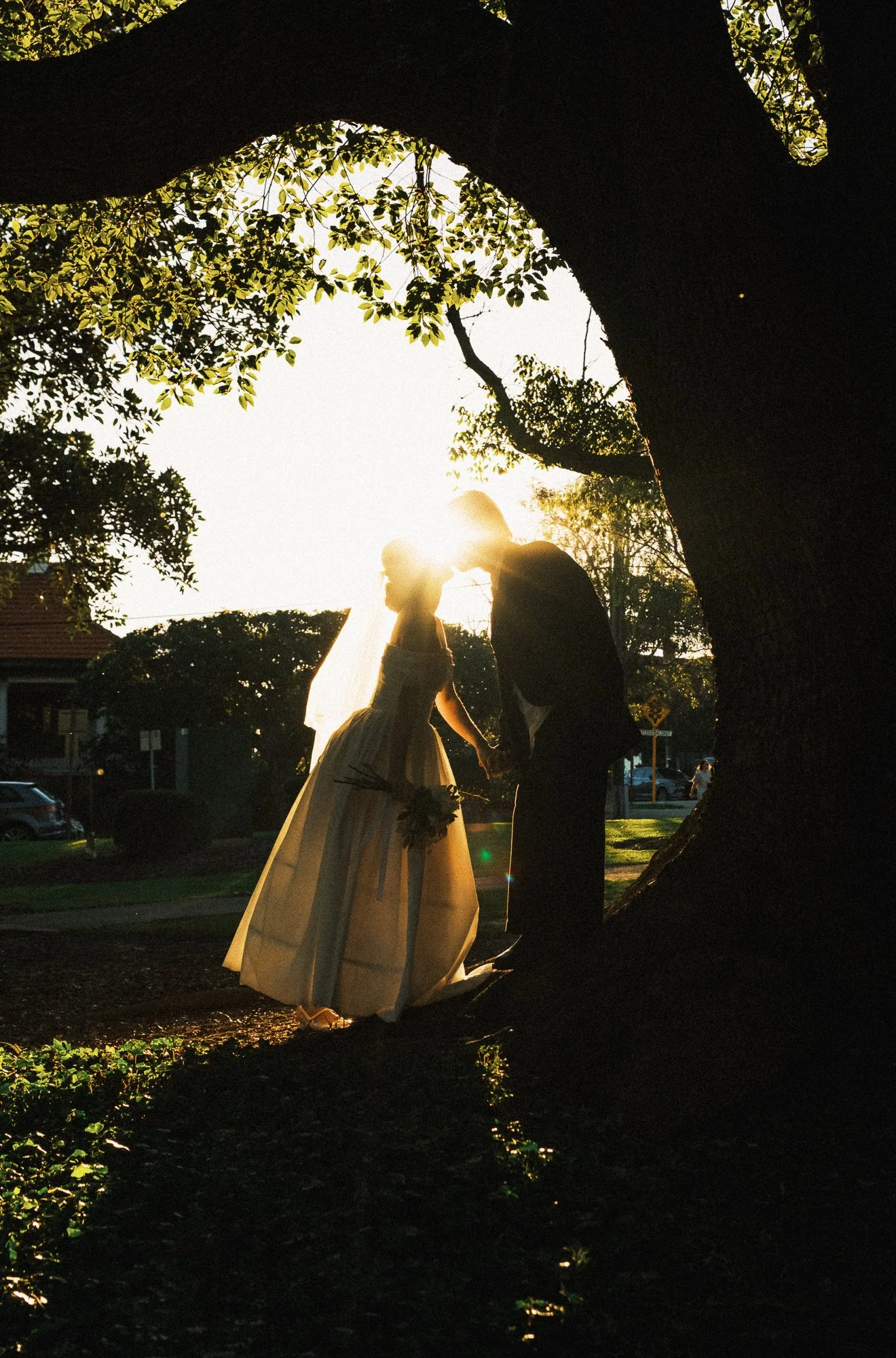 Silhouette of a bride and groom holding hands under a large tree at sunset, with sunlight shining behind them.