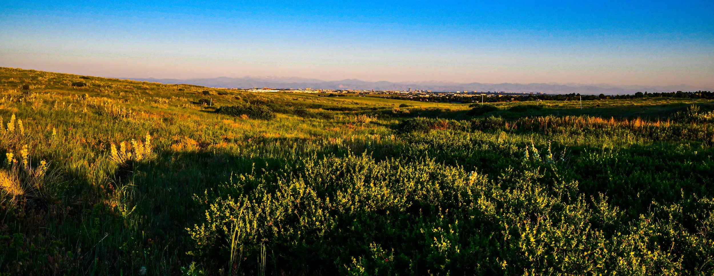 _DSC8906.jpeg