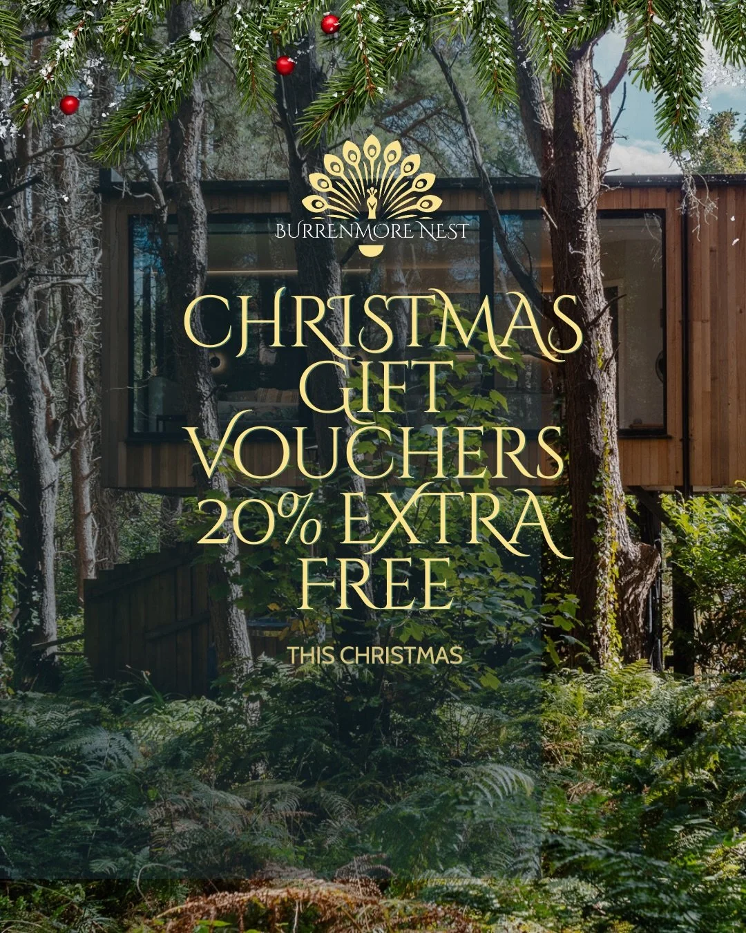 The best gifts don&rsquo;t sit on shelves.

Right now, we&rsquo;re adding 20% extra to all Burrenmore Nest gift vouchers automatically.
No codes. No admin. Just more value.

A pause button. A forest escape. A stay they&rsquo;ll never forget.

Gift th