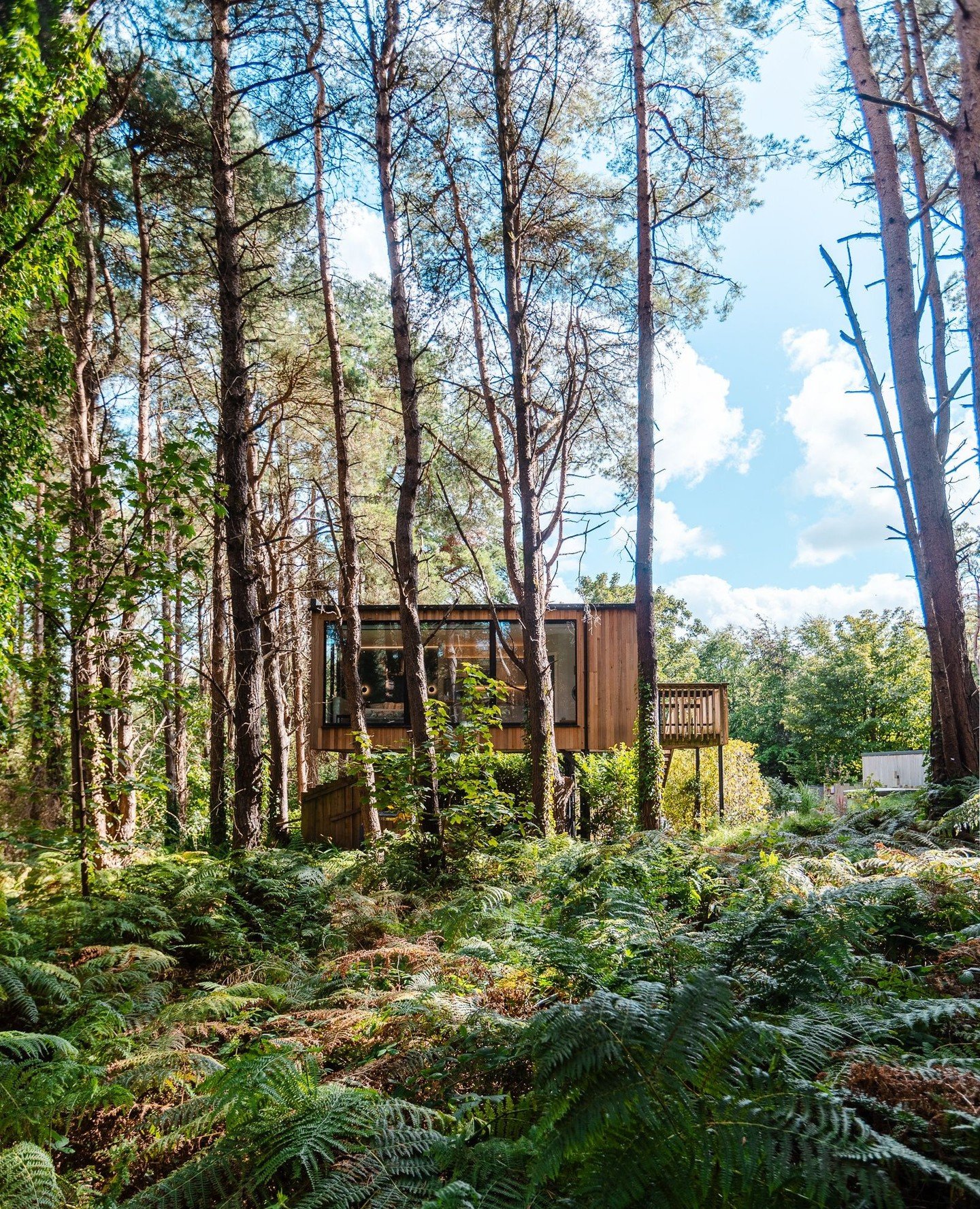 Boxing Day calm 🌲⁠
⁠
Leftovers, long walks and nowhere you need to be.⁠
A reminder that slowing down is the real luxury 🤍