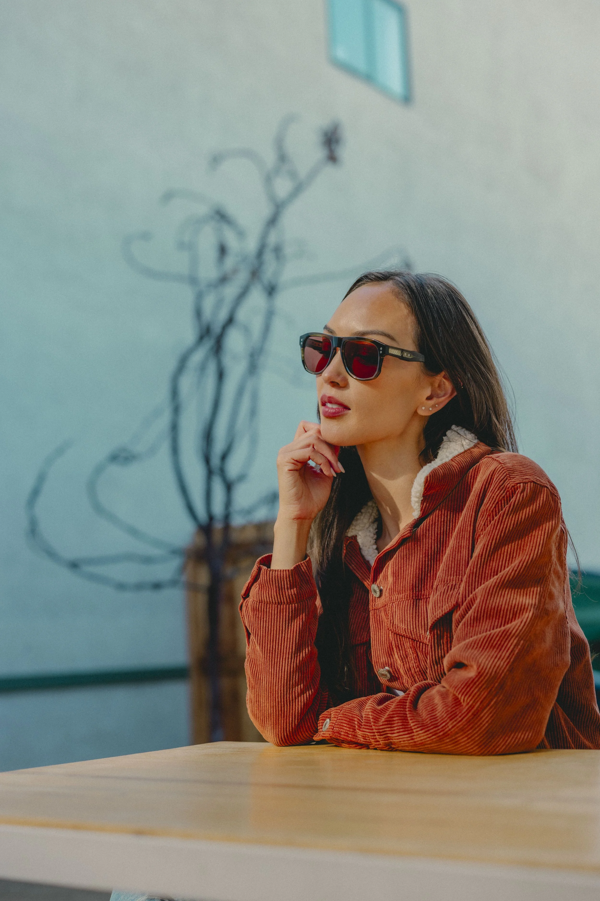 Dillon Vindicator 86.jpg