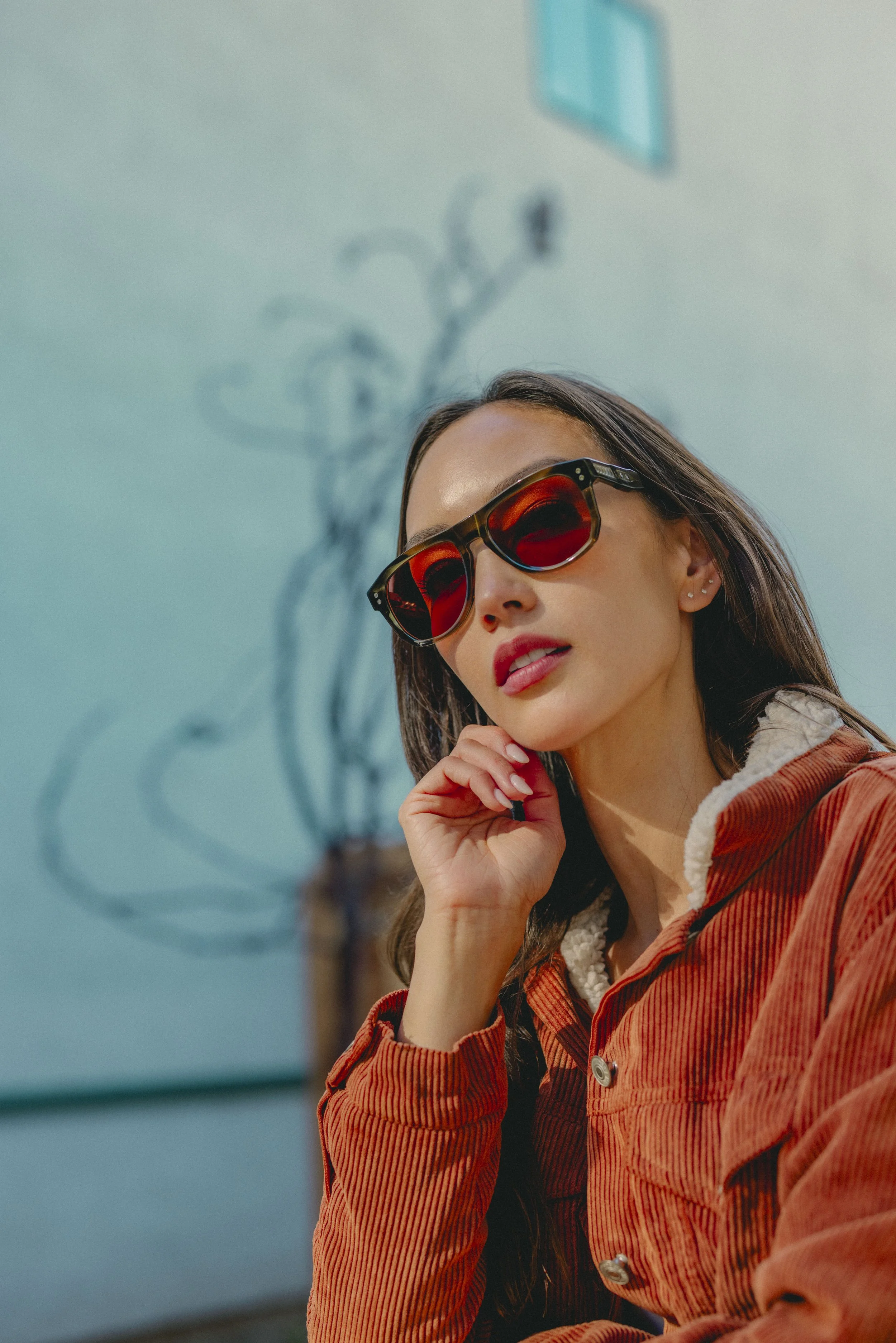 Dillon Vindicator 87.jpg