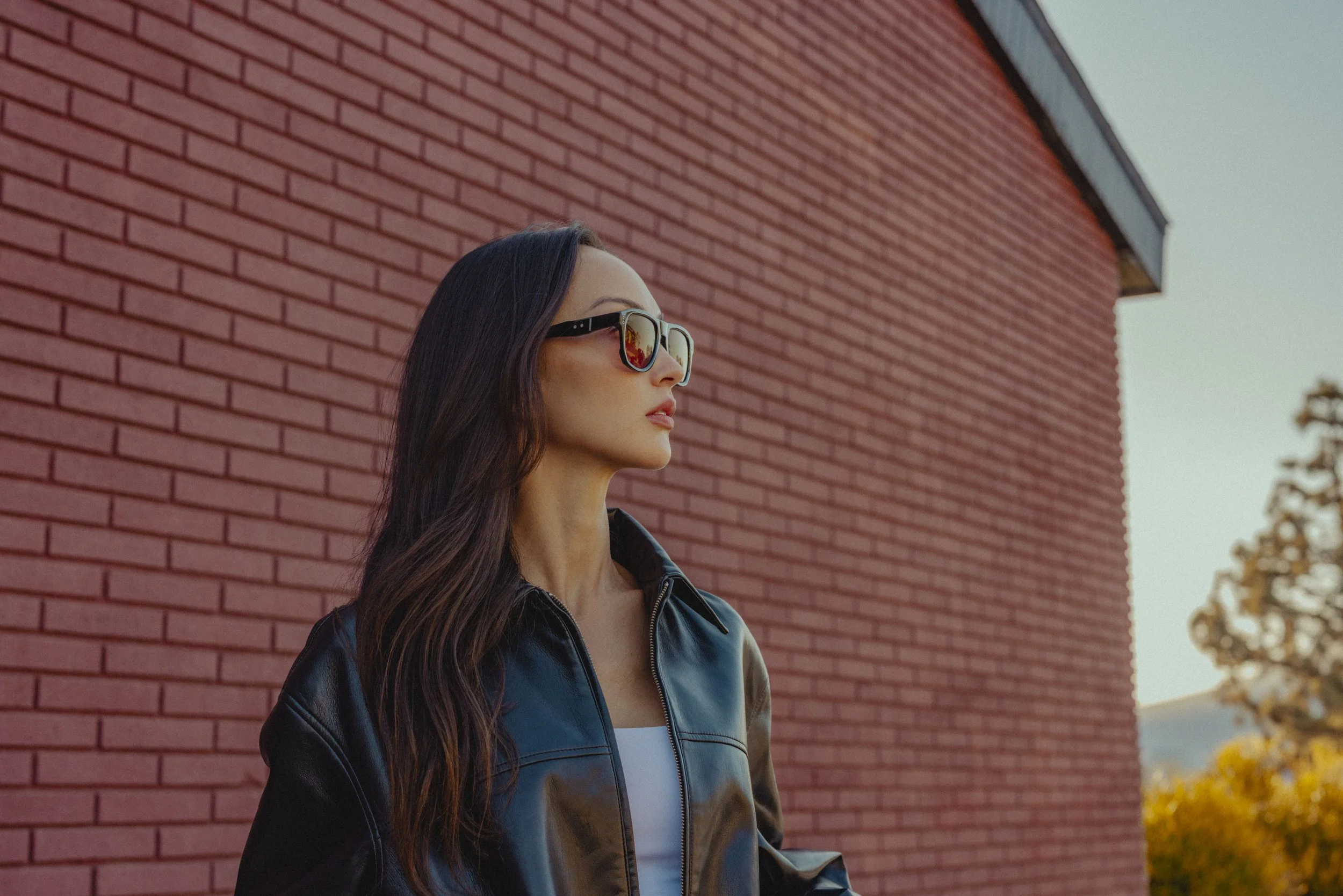 Dillon Vindicator 114.jpg