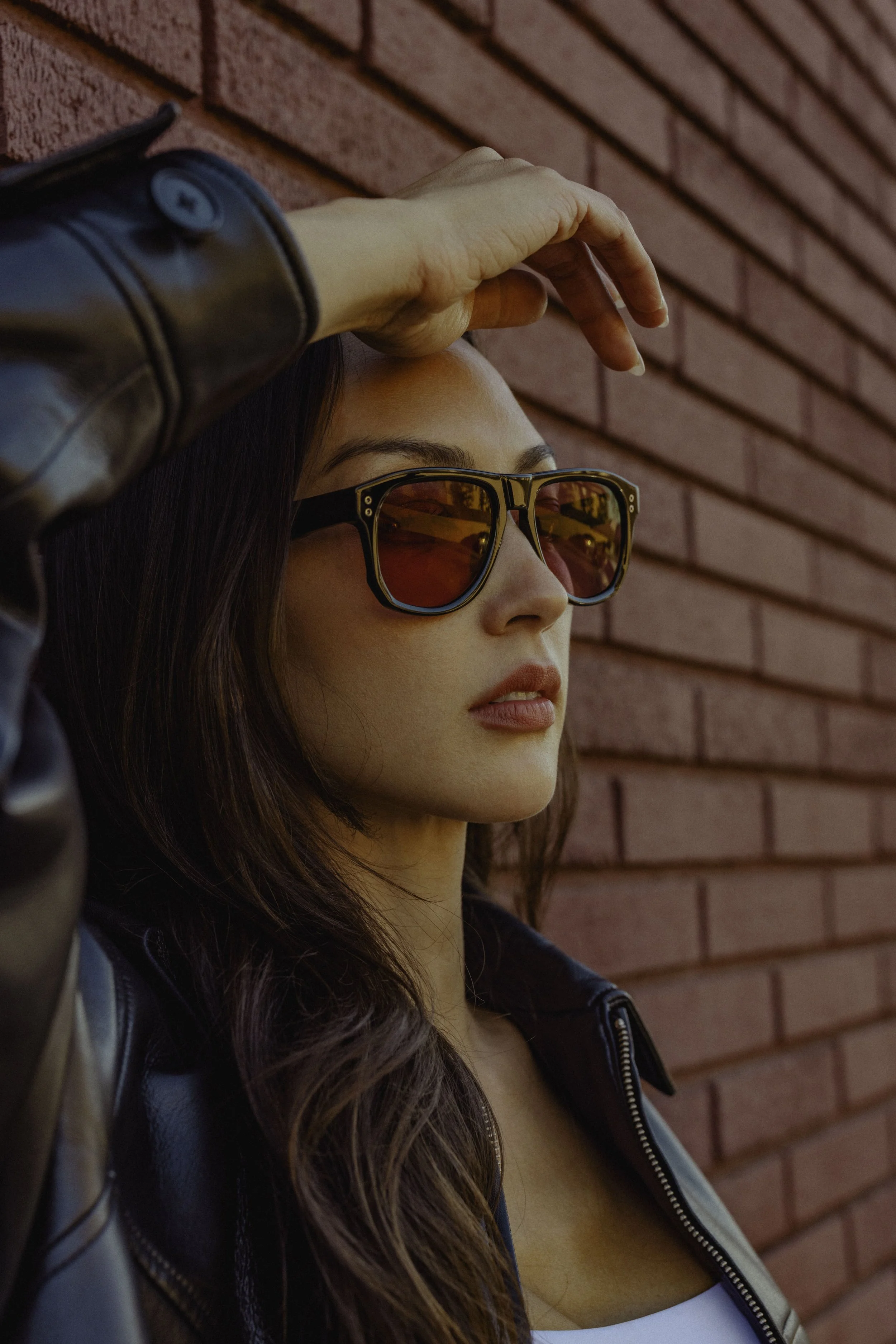 Dillon Vindicator 24.jpg