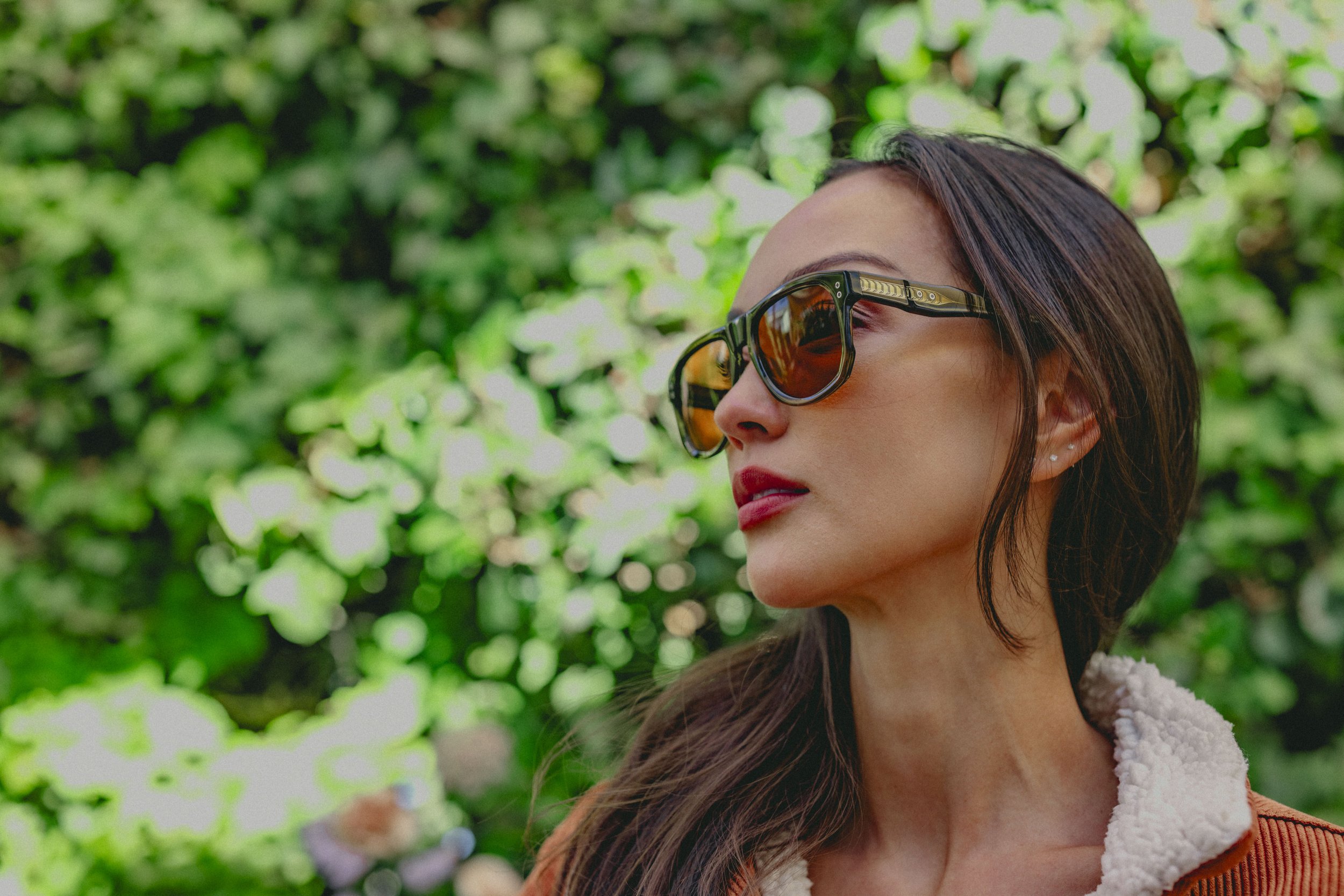 Dillon Vindicator 79.jpg