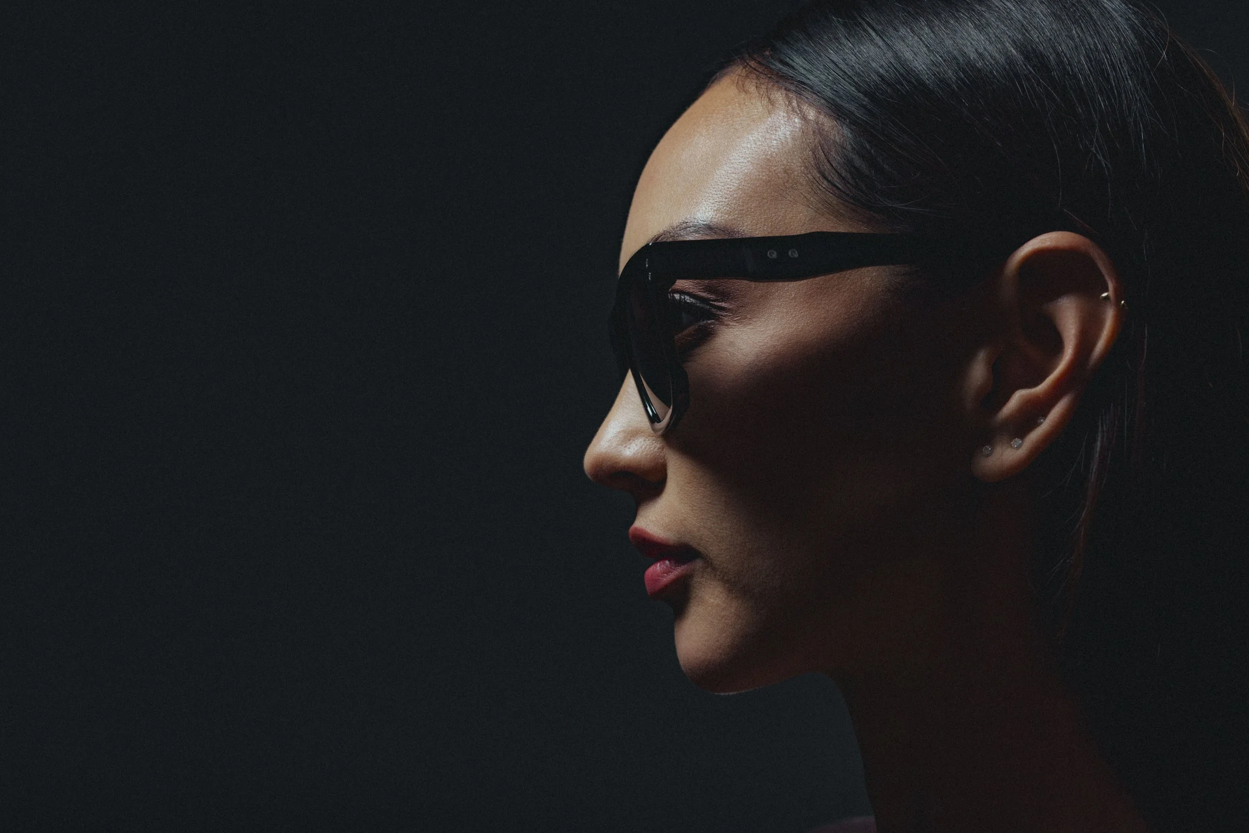 Dillon Vindicator 21.jpg