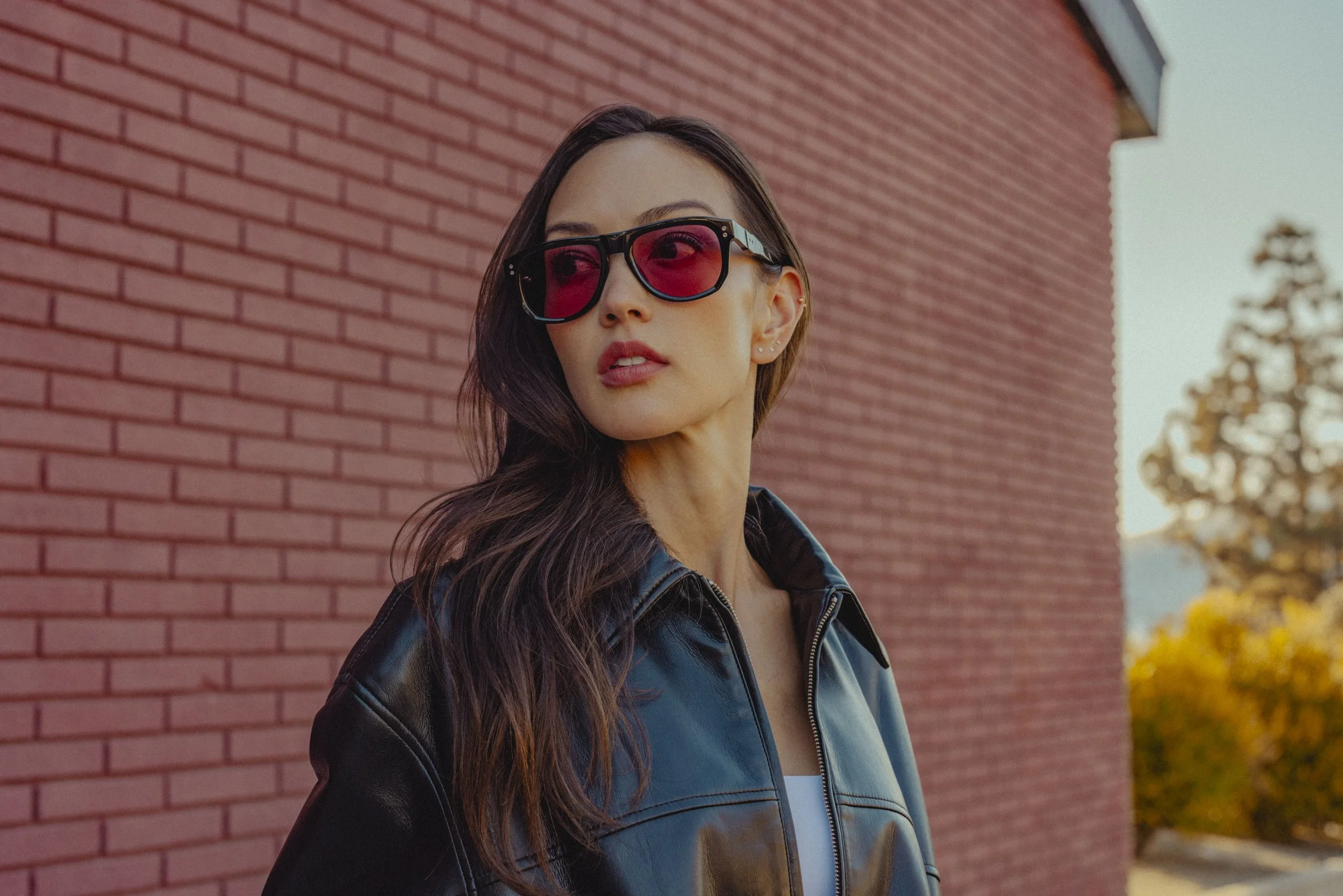 Dillon Vindicator 113.jpg