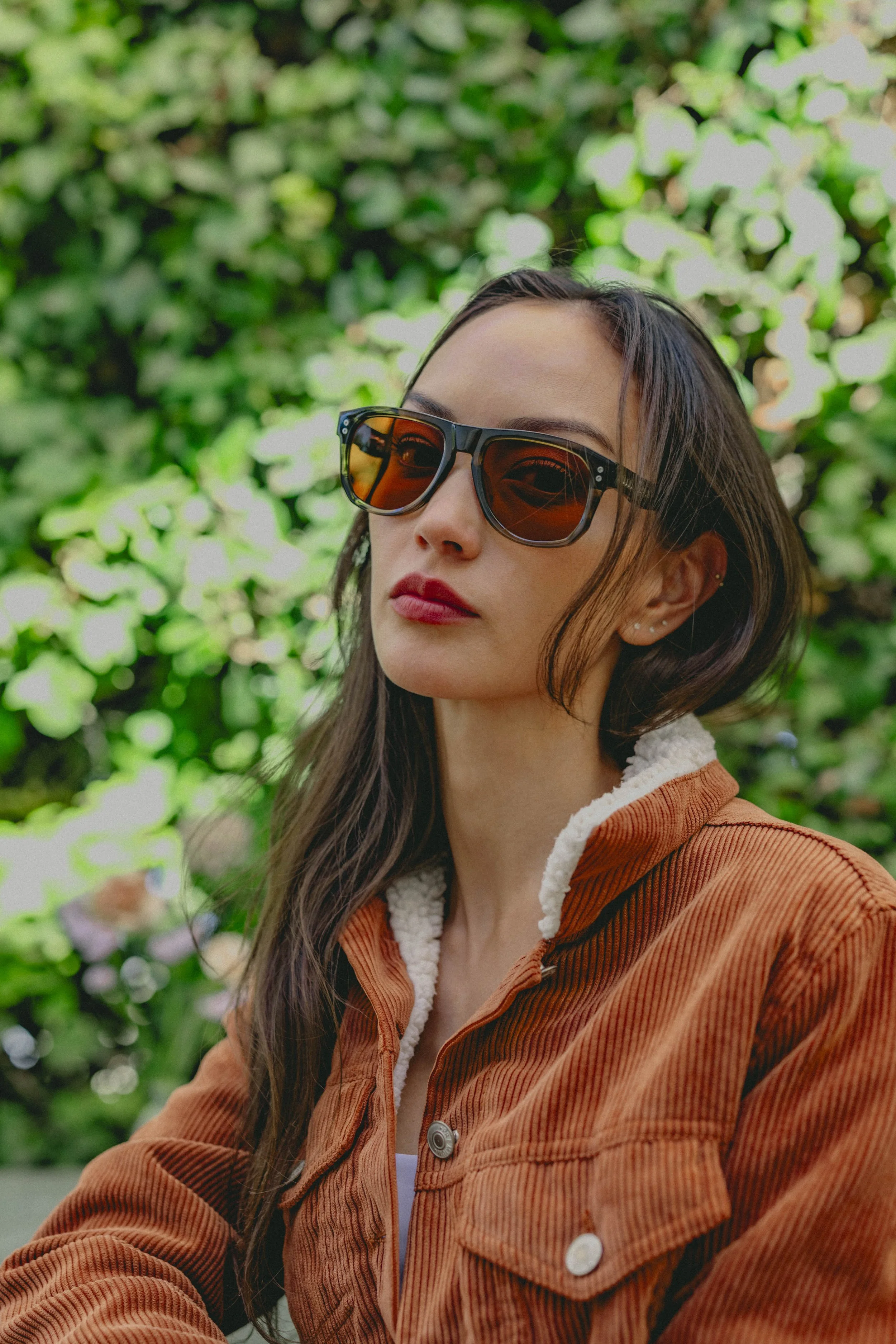 Dillon Vindicator 80.jpg