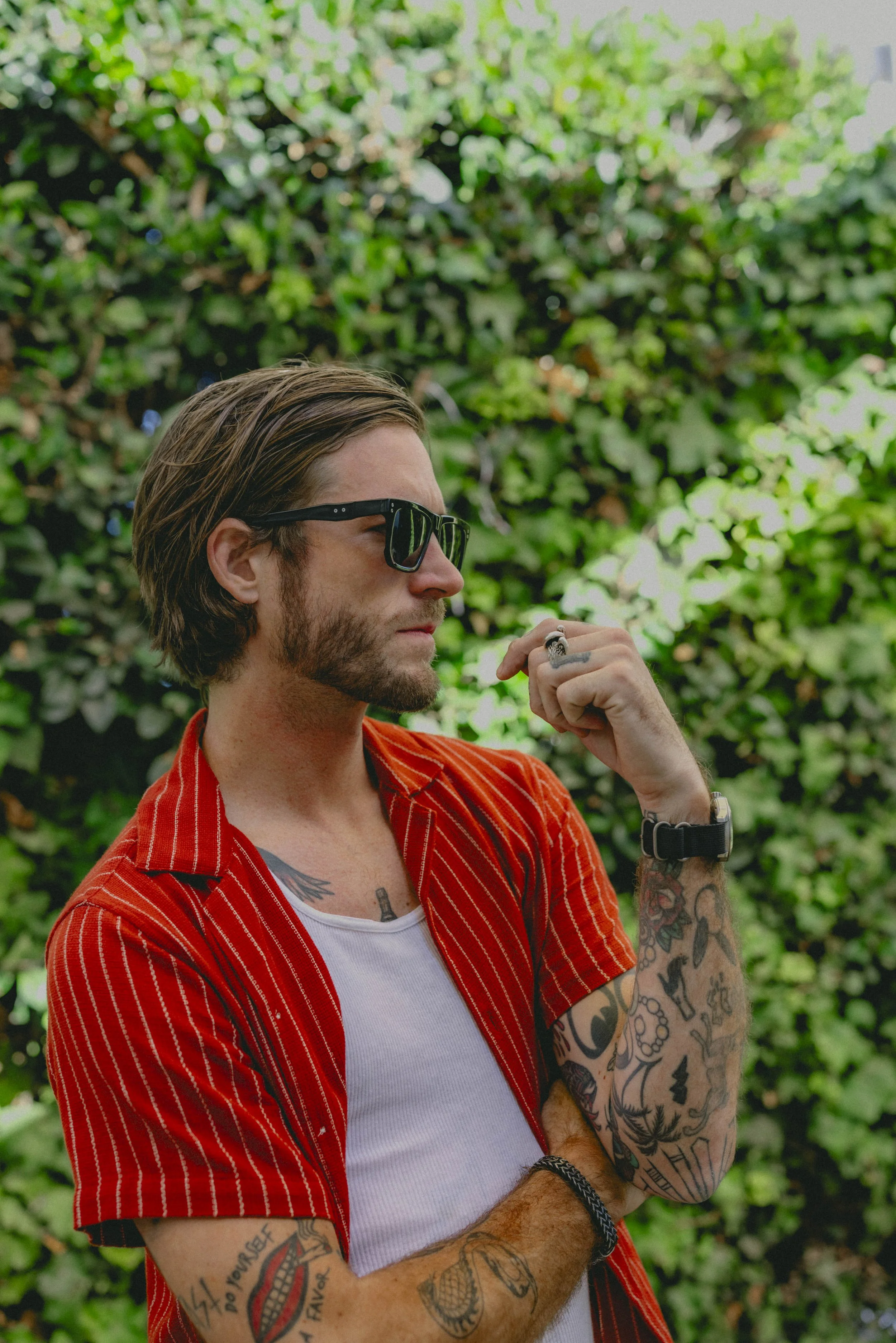 Dillon Vindicator 69.jpg