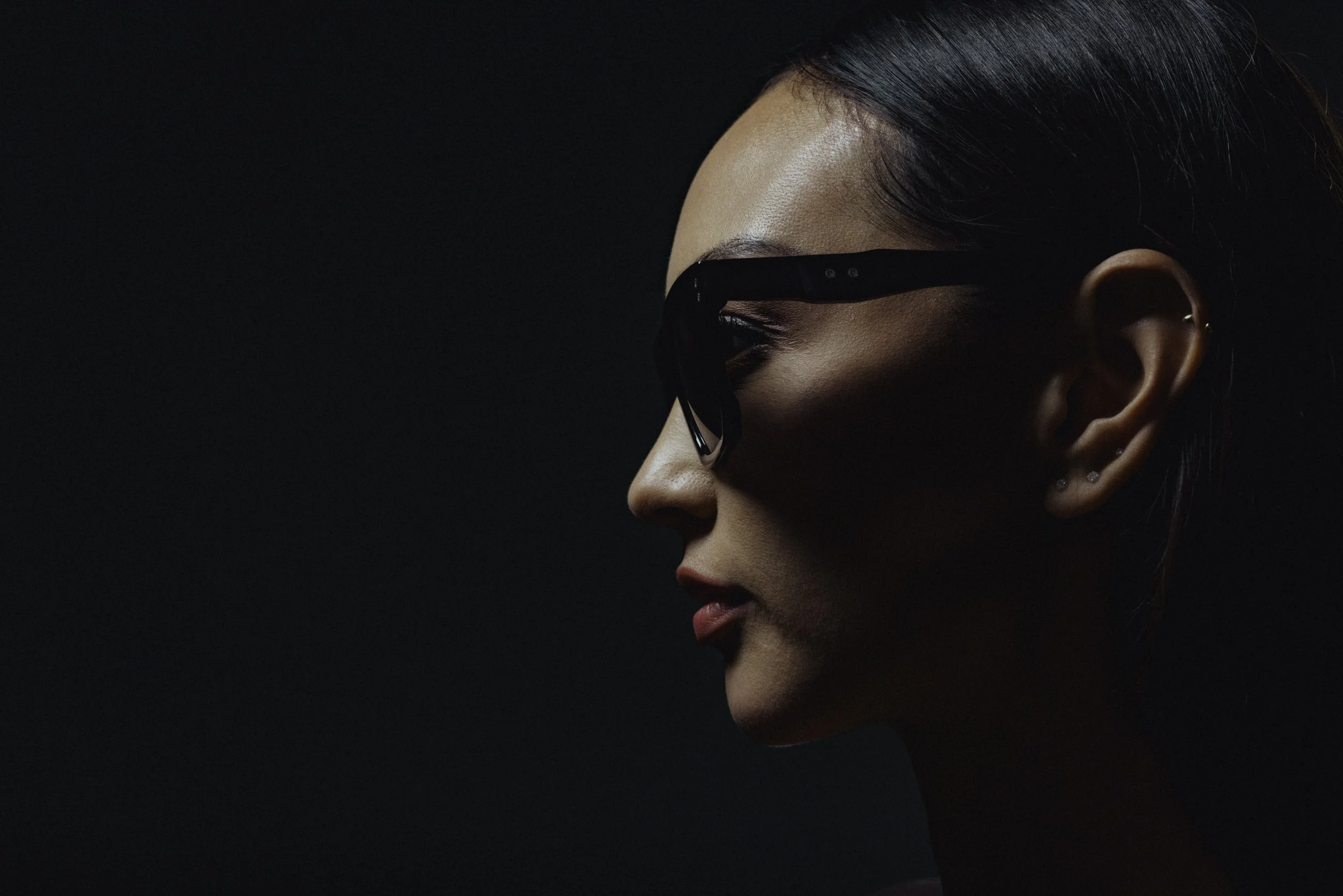 Dillon Vindicator 6.jpg