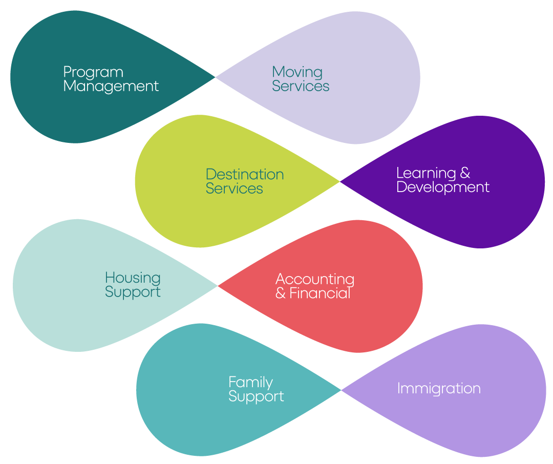 Sprout relocation service infographics using the brand’s colour palette and graphic system to organize its human-centred relocation services.
