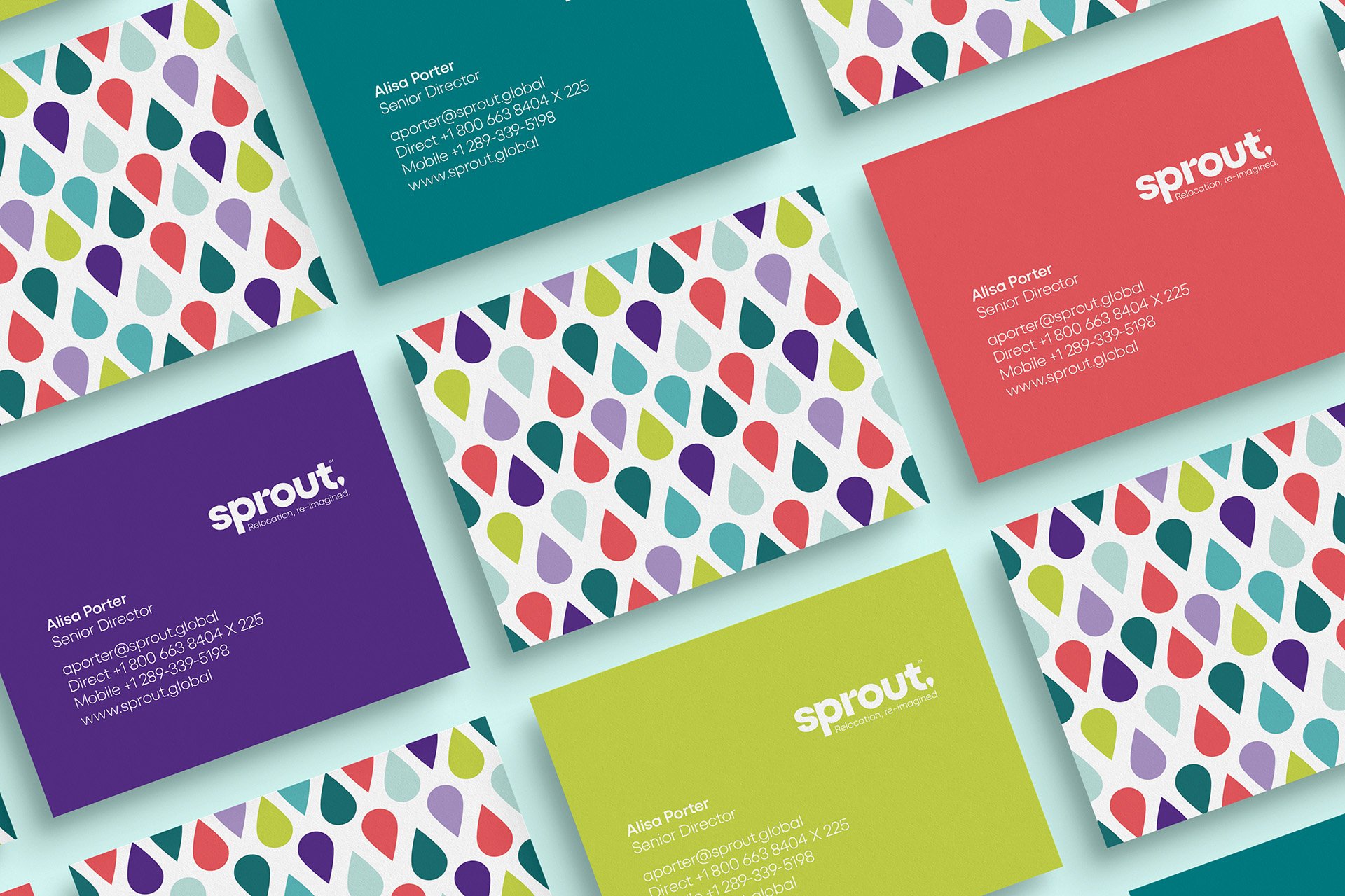Sprout business card design applying the new logo, colour palette and graphic pattern across the brand identity system.