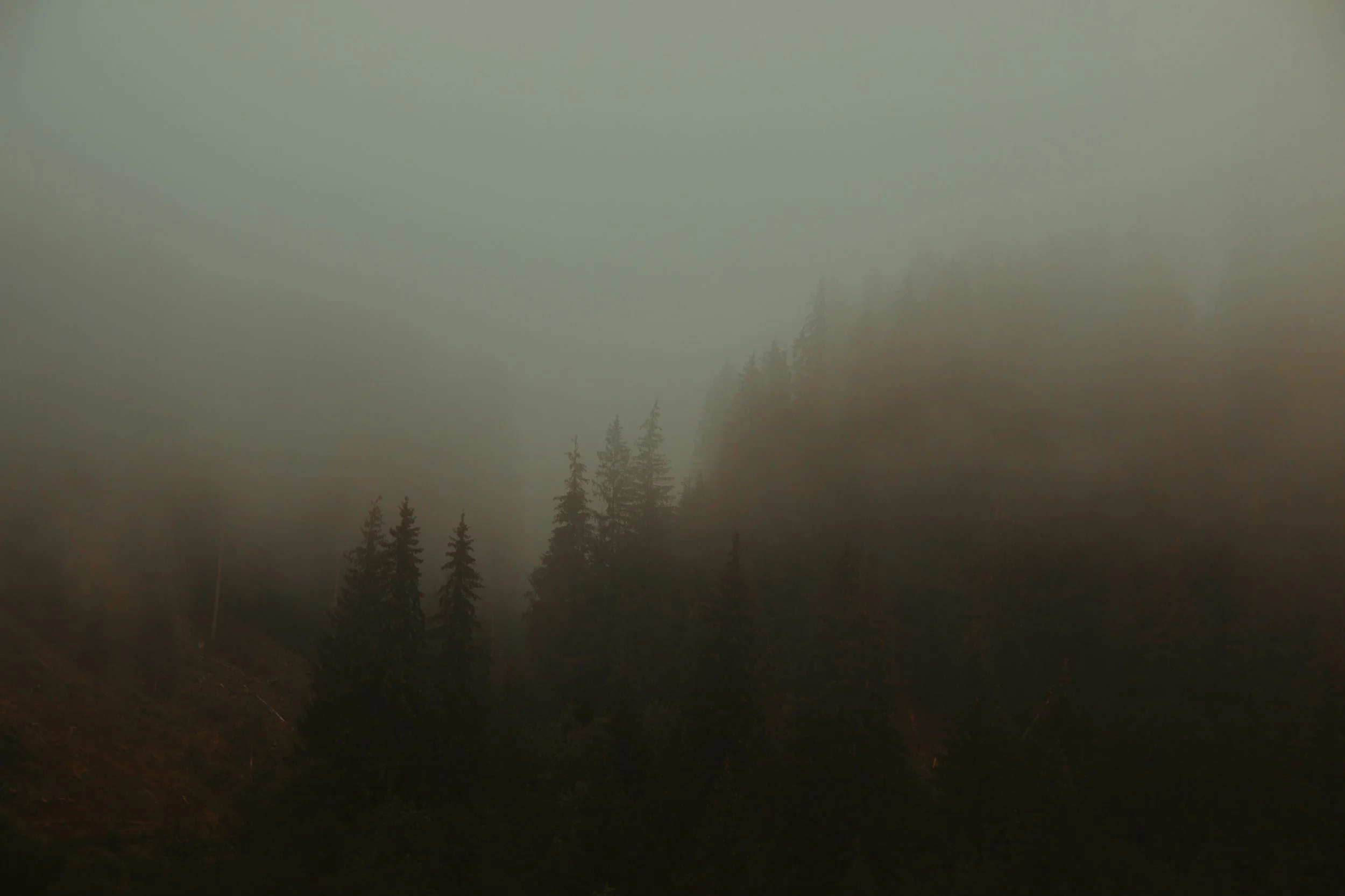 Concierge psychotherapy at The Modern Insight