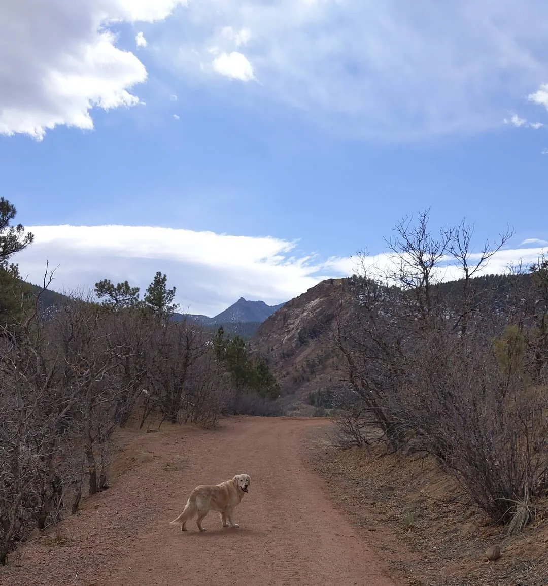 The view widens.
So do you.