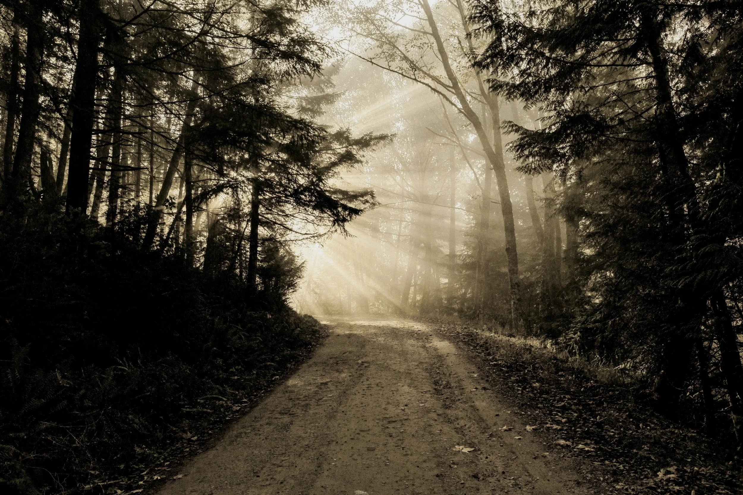 Concierge Psychotherapy in Colorado at The Modern Insight