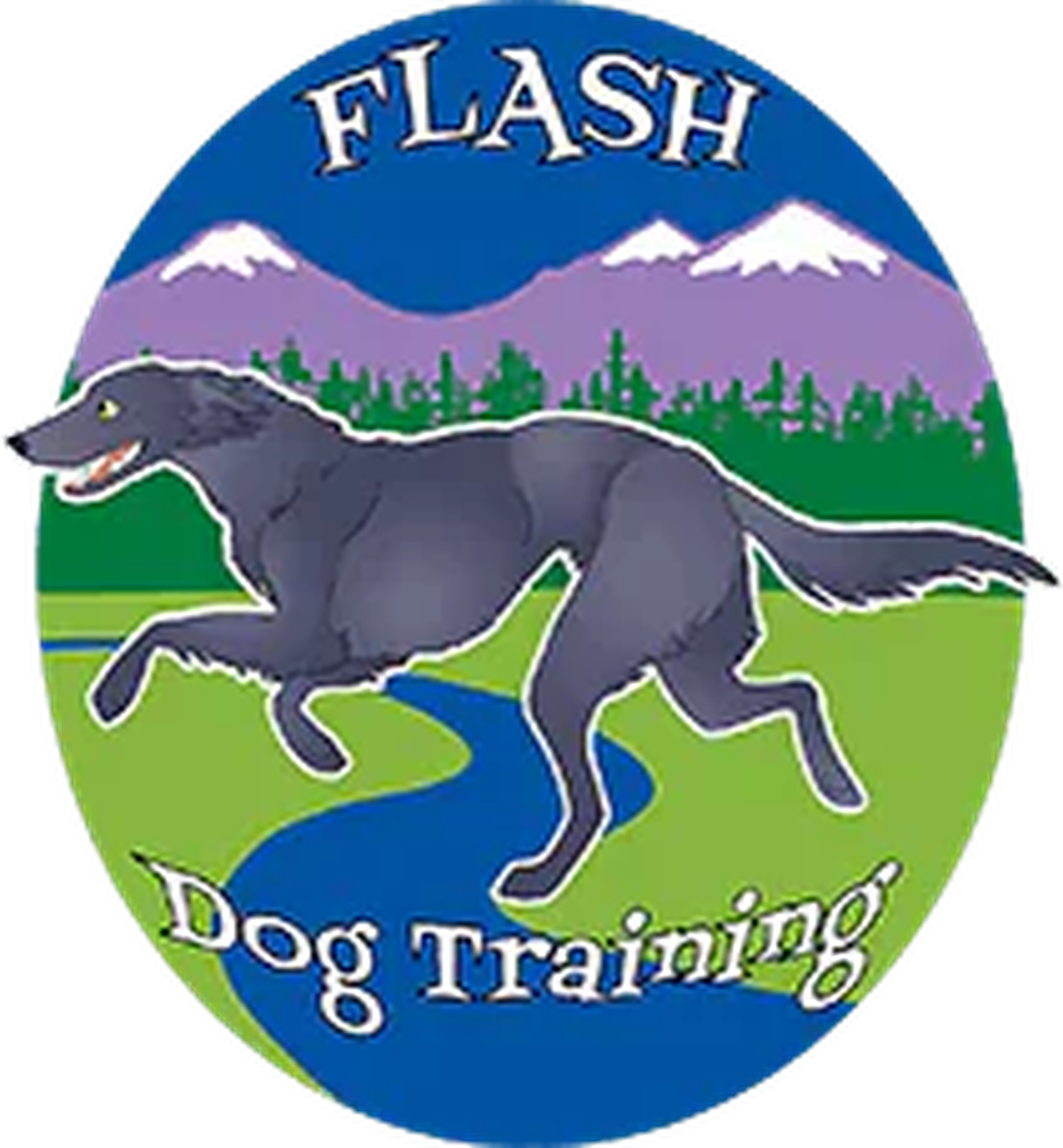 Flash Dog Training logo - Doggolympics sponsor, dog training in Bend, Oregon