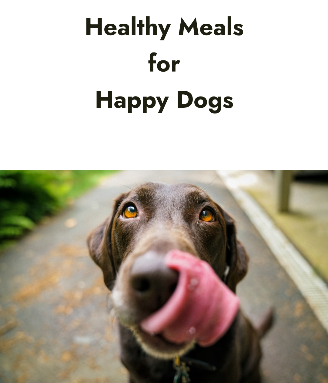 Healthy Meals for Happy Dogs! (ebook)