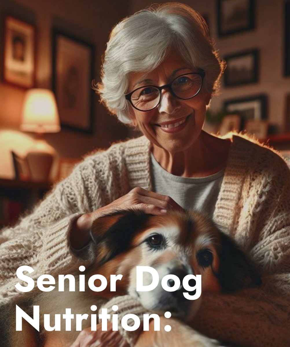 Senior Dog Nutrition (ebook)