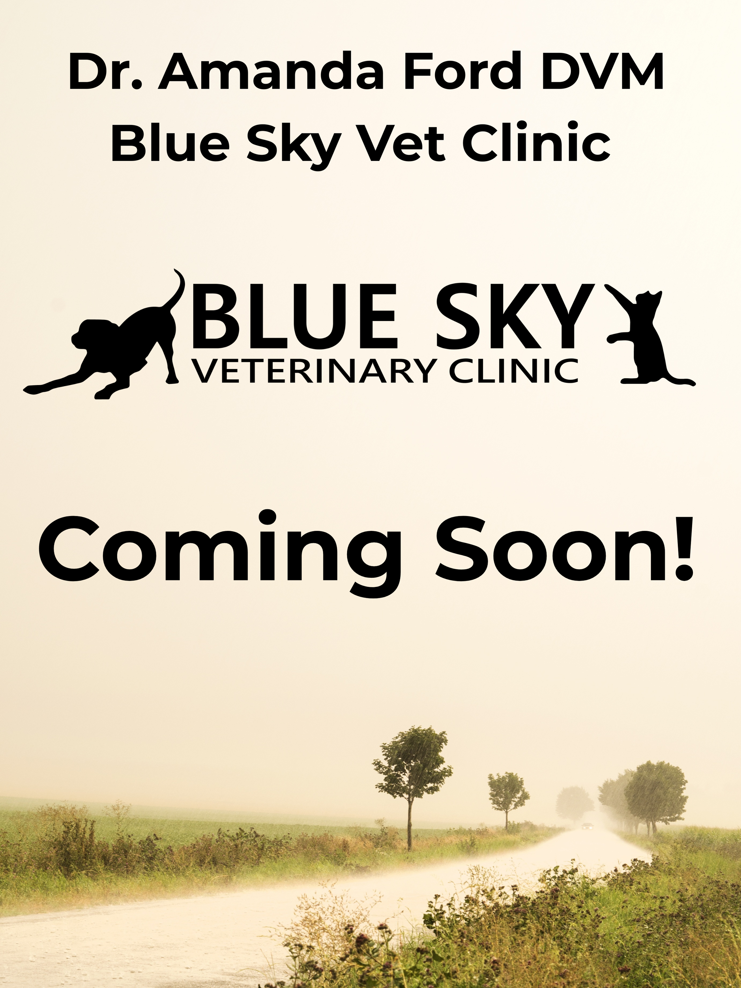 Amanda placeholder.png