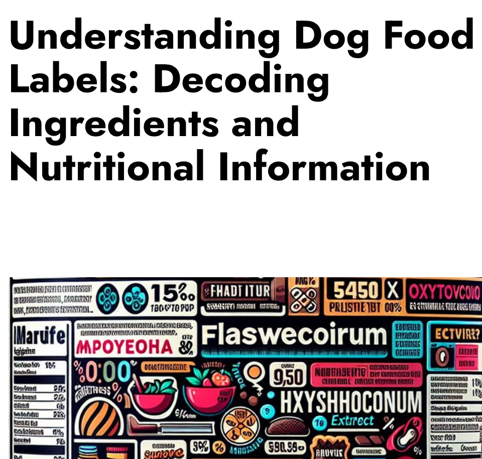 Understanding Food Labels (ebook)