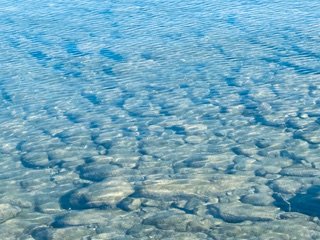 Professional Modality