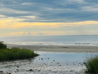 What is Psychoanalysis &amp; Psychoanalytic Psychotherapy?