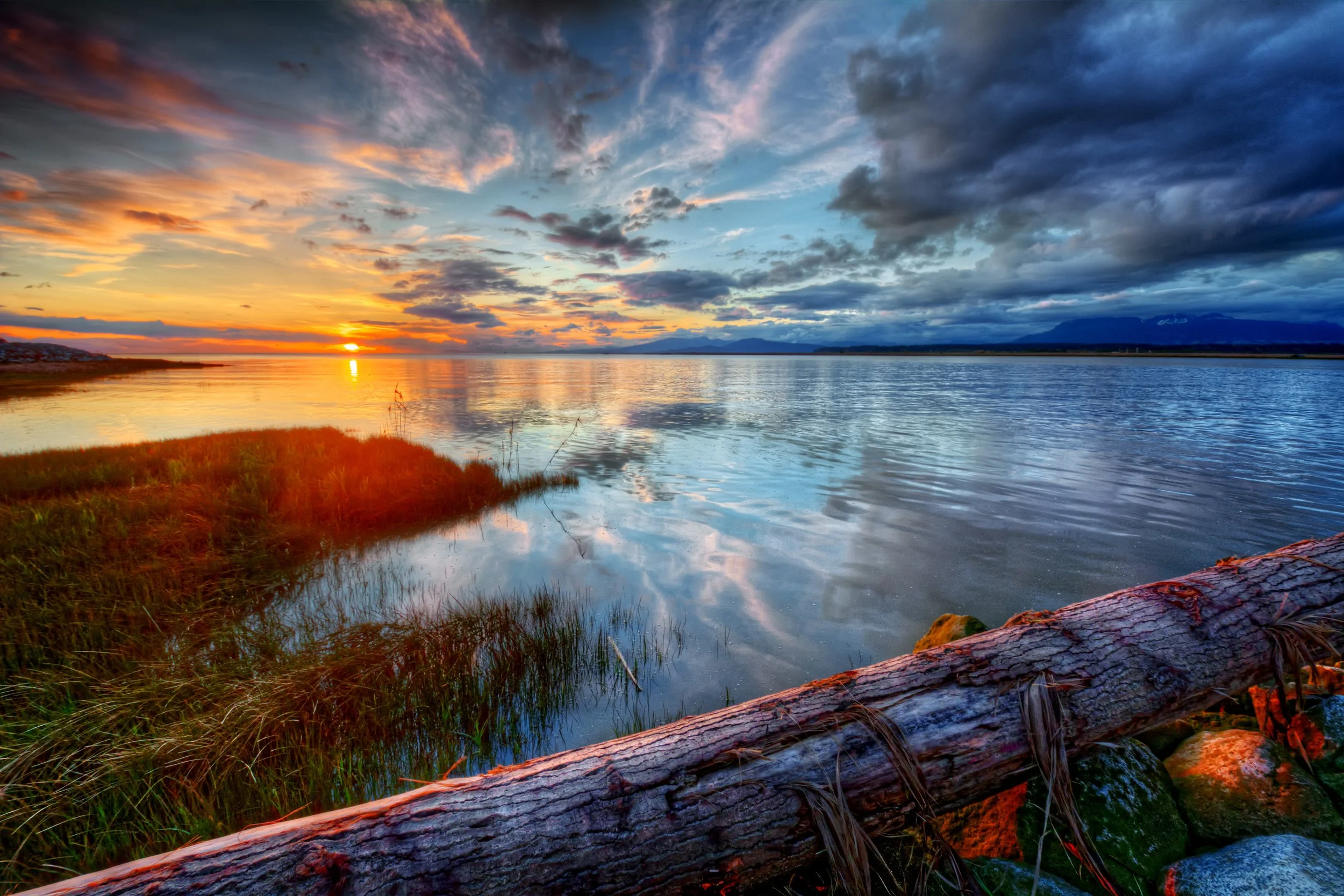 shutterstock_201132851.jpg