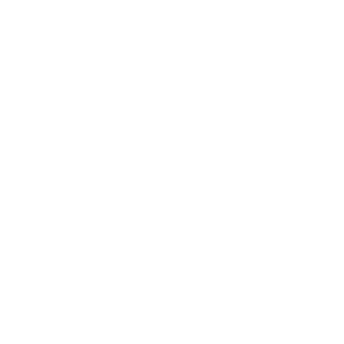 Moyer Travel Group