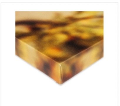 Image 08-08-2025 à 20.54.jpeg