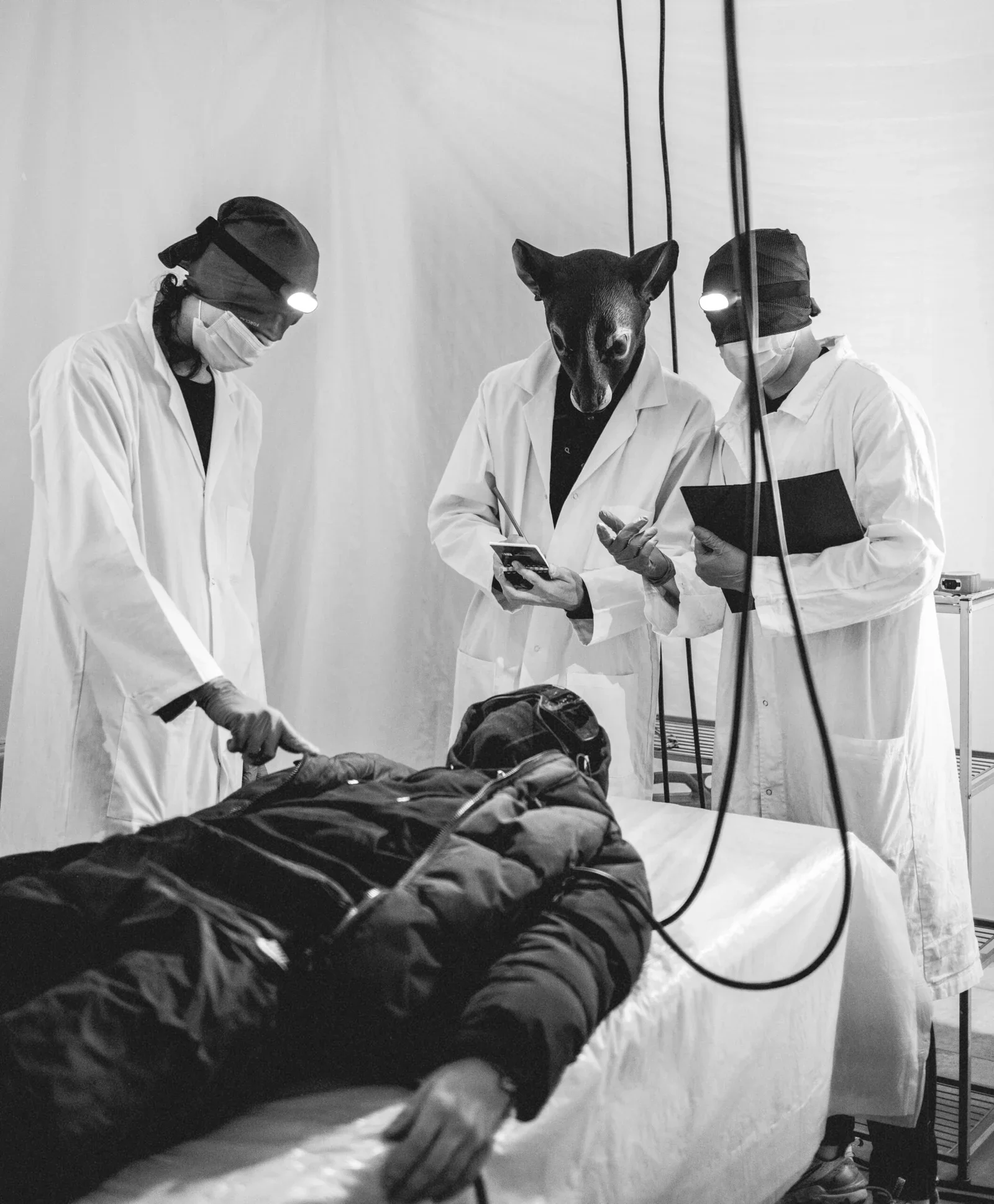 DSC_6127-scaled (1).webp