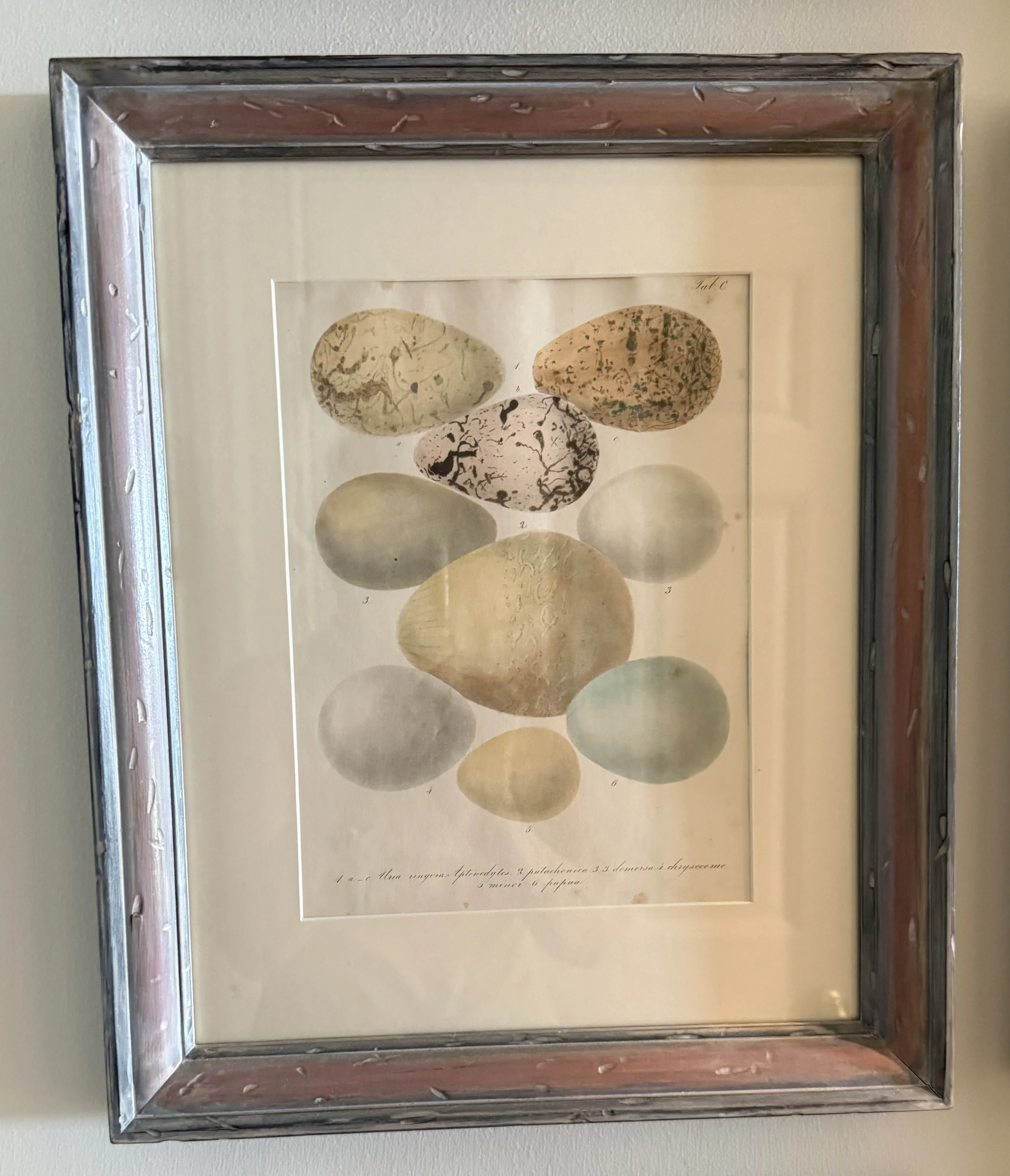 Egg Print 3.jpg