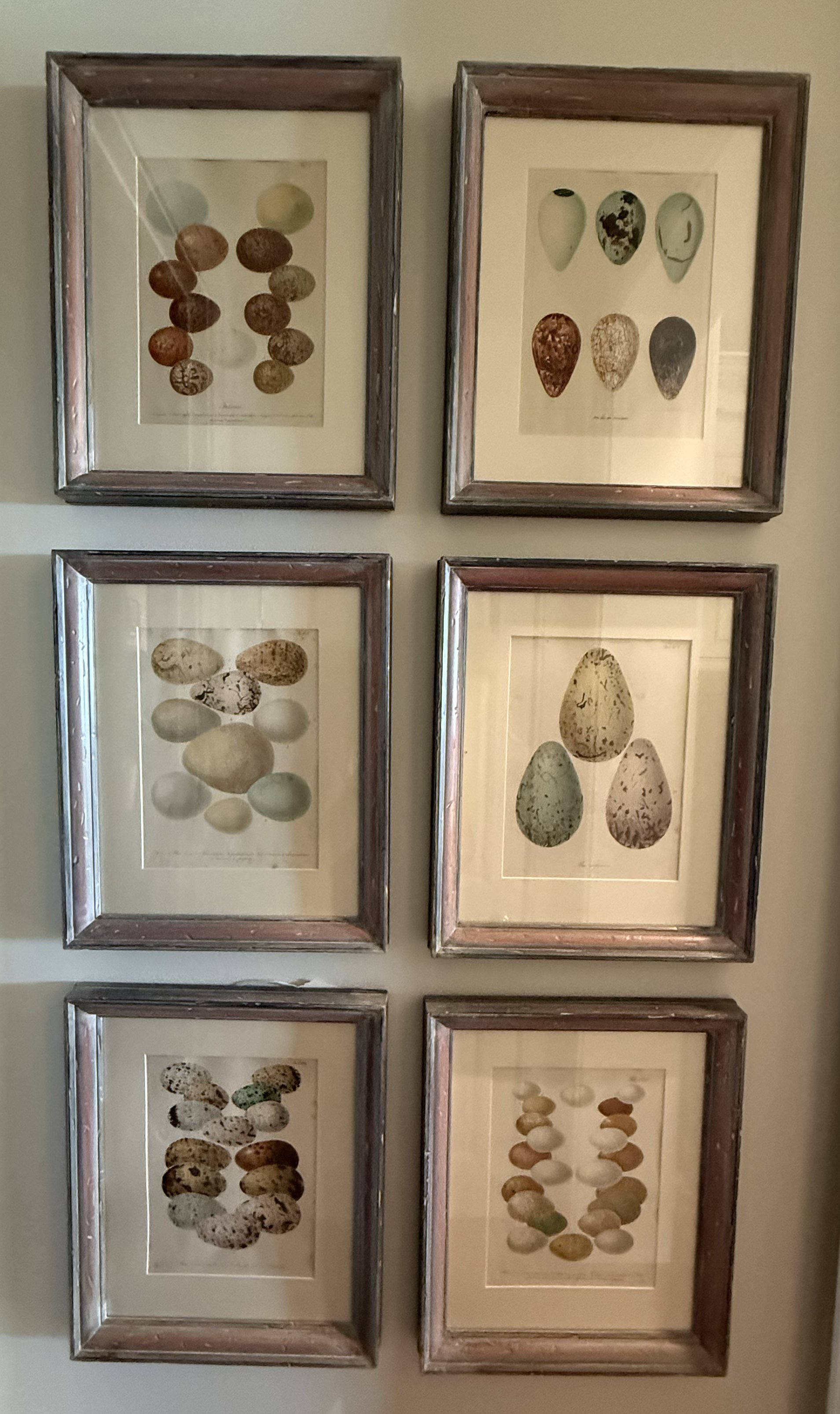Framed Egg Prints.jpg