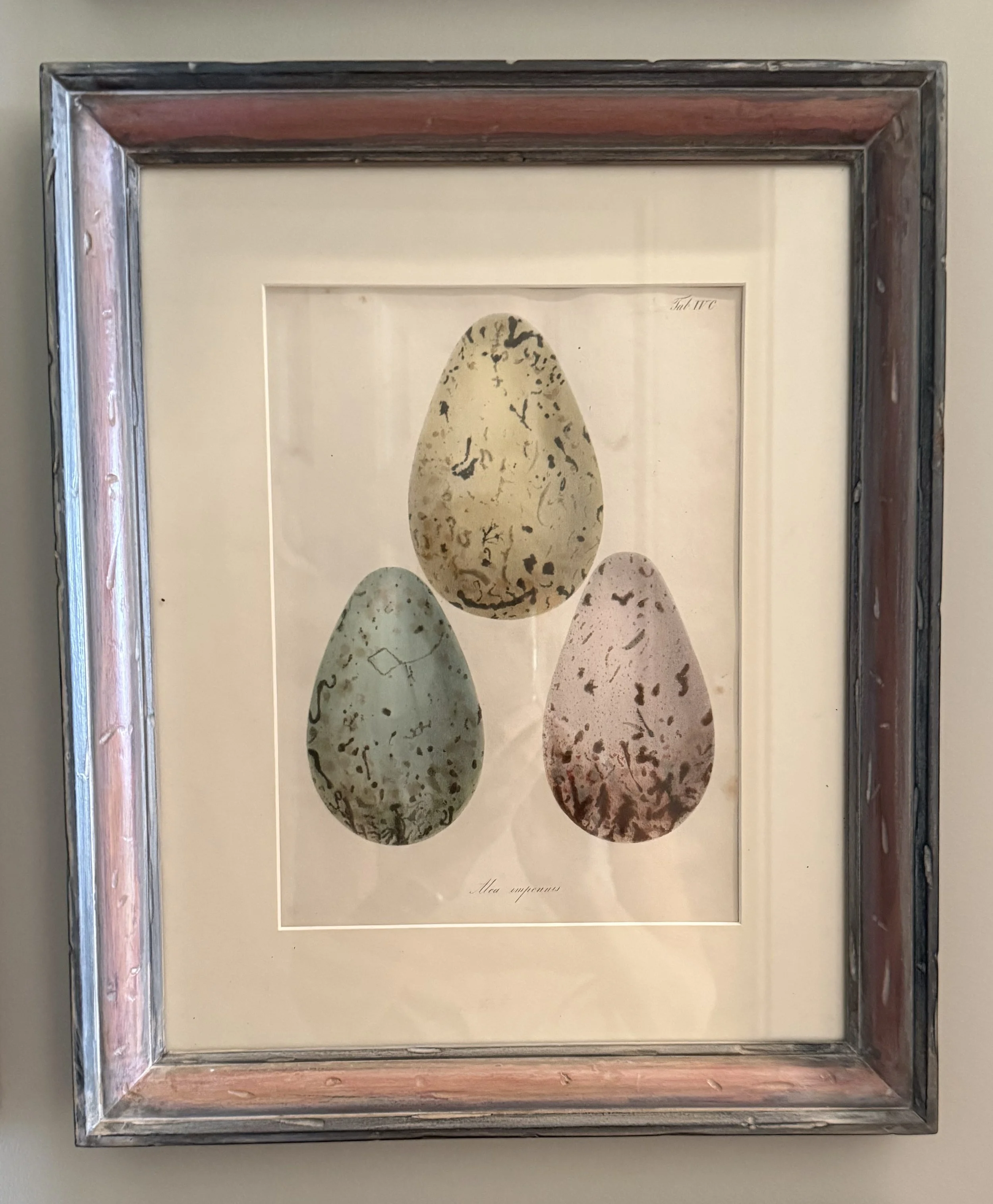 Egg Print 4.jpg