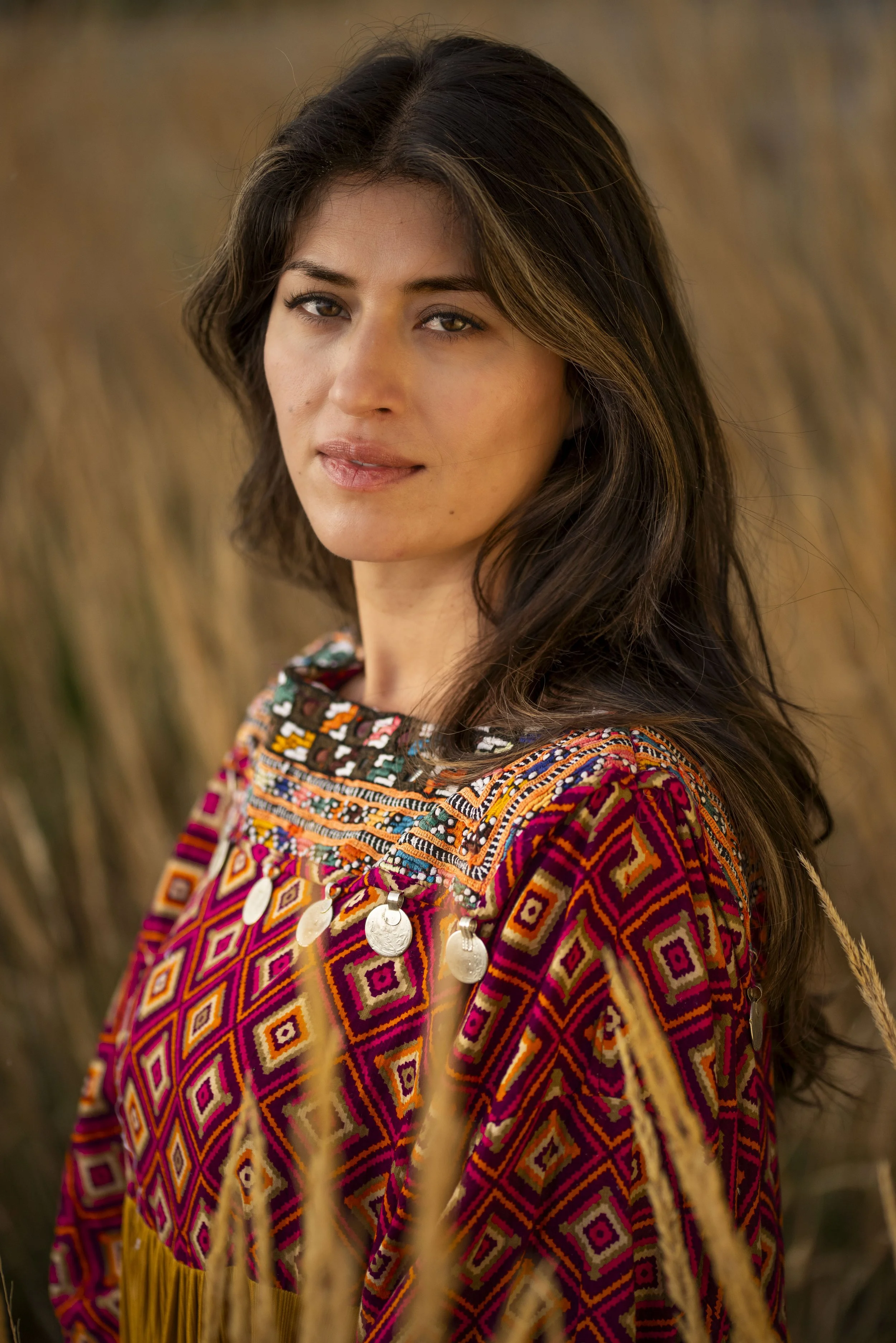 Samina Vabo Ansari, author of When the Almond Trees Bloom