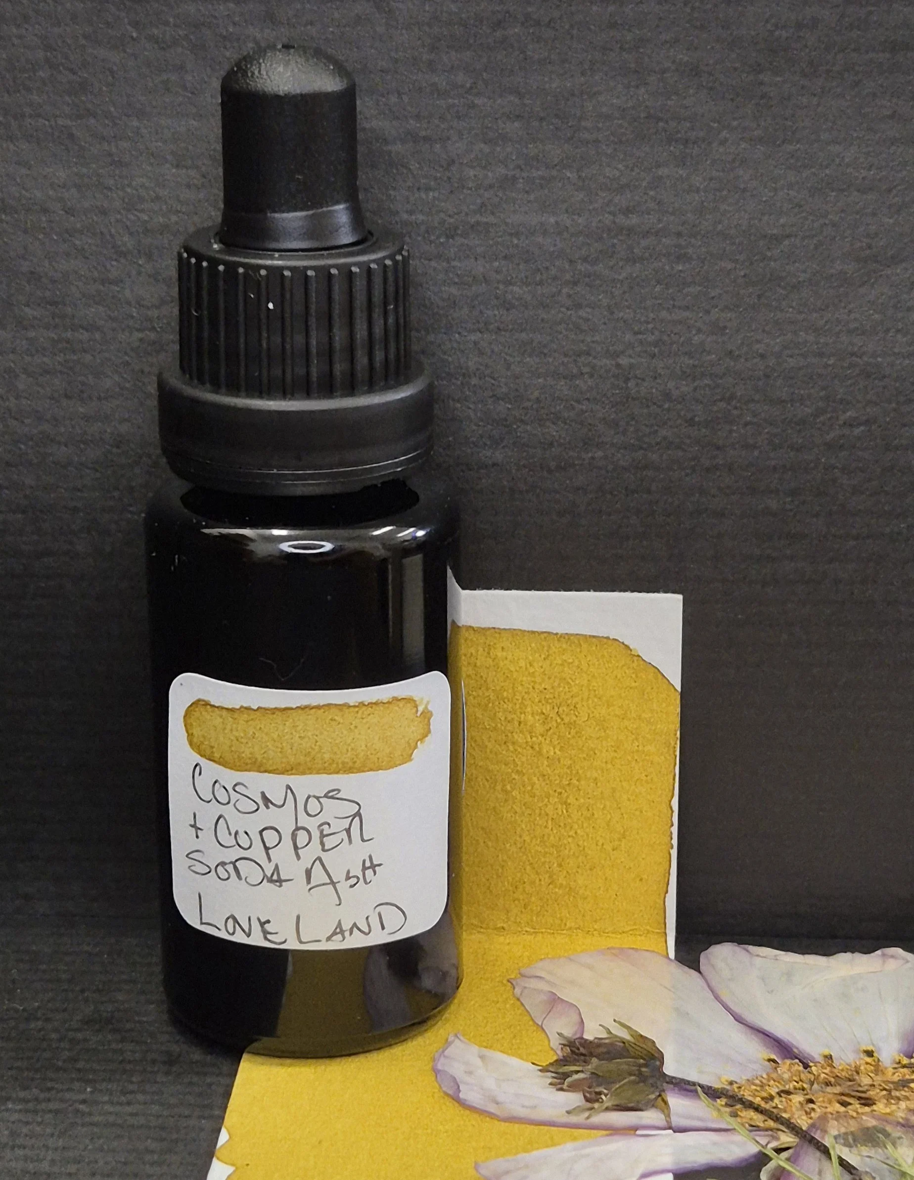 20261003_110816.jpg