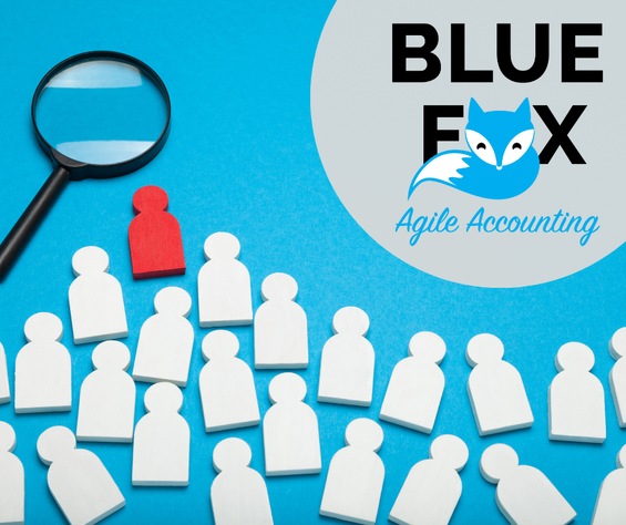 Blue Fox is Hiring: Our Ideal Client!