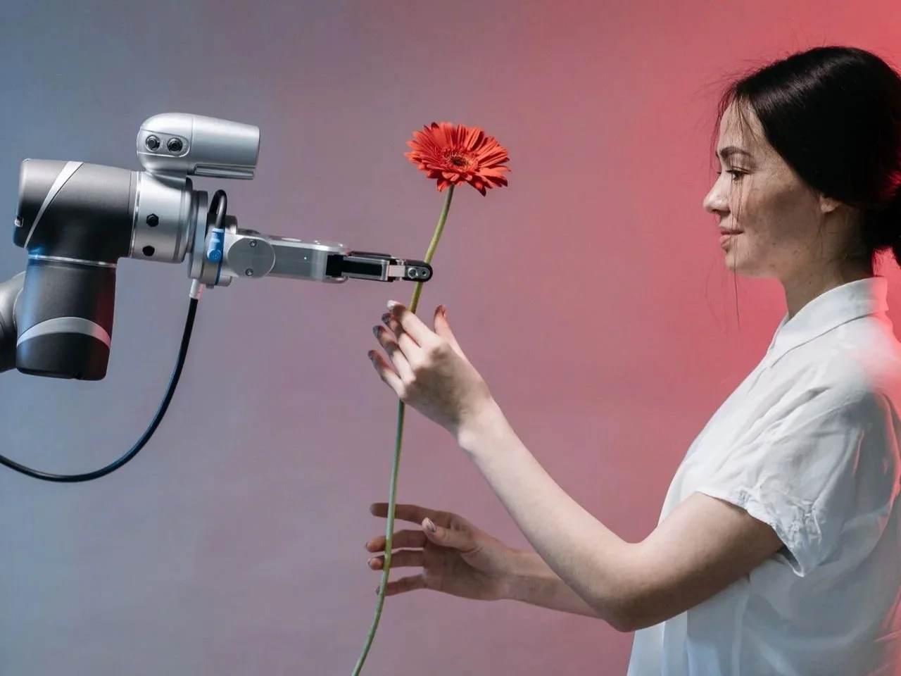 An AI robot hands a red flower to a woman.