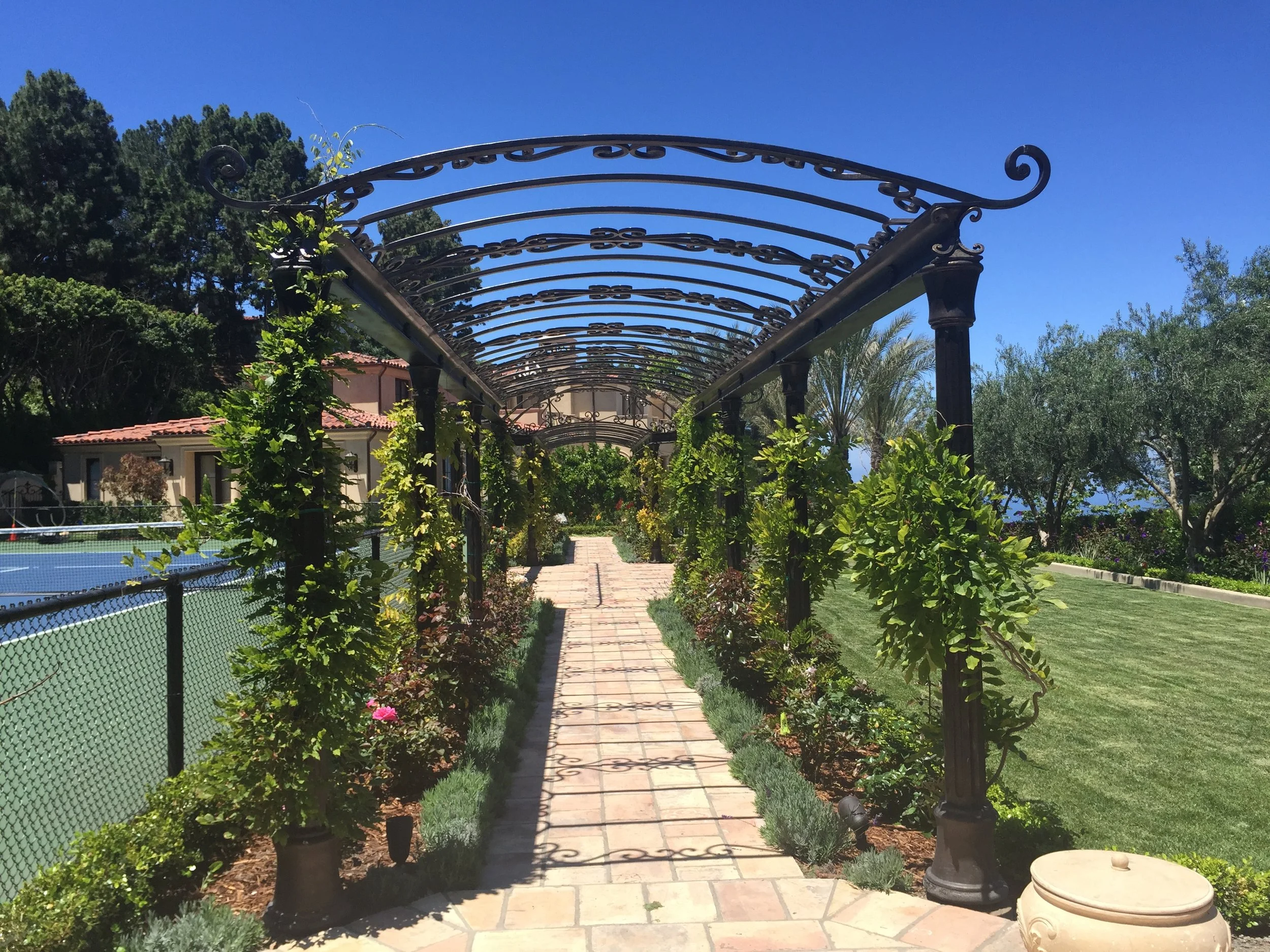 A garden walkway with a decorative metal pergola, lush green plants, and trees, with a house and a tennis court to the left, under a clear blue sky.